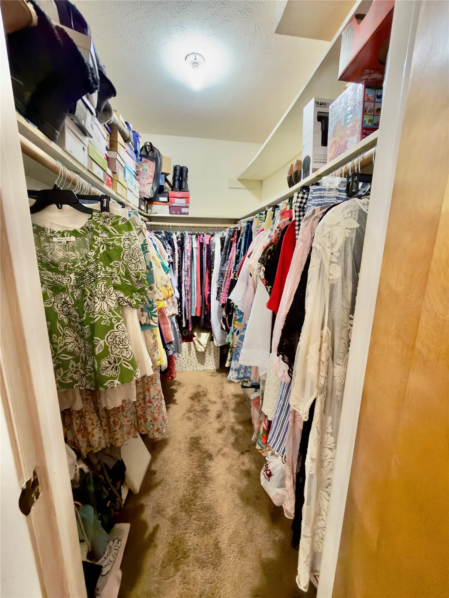 Primary Bedroom Walk-in Closet