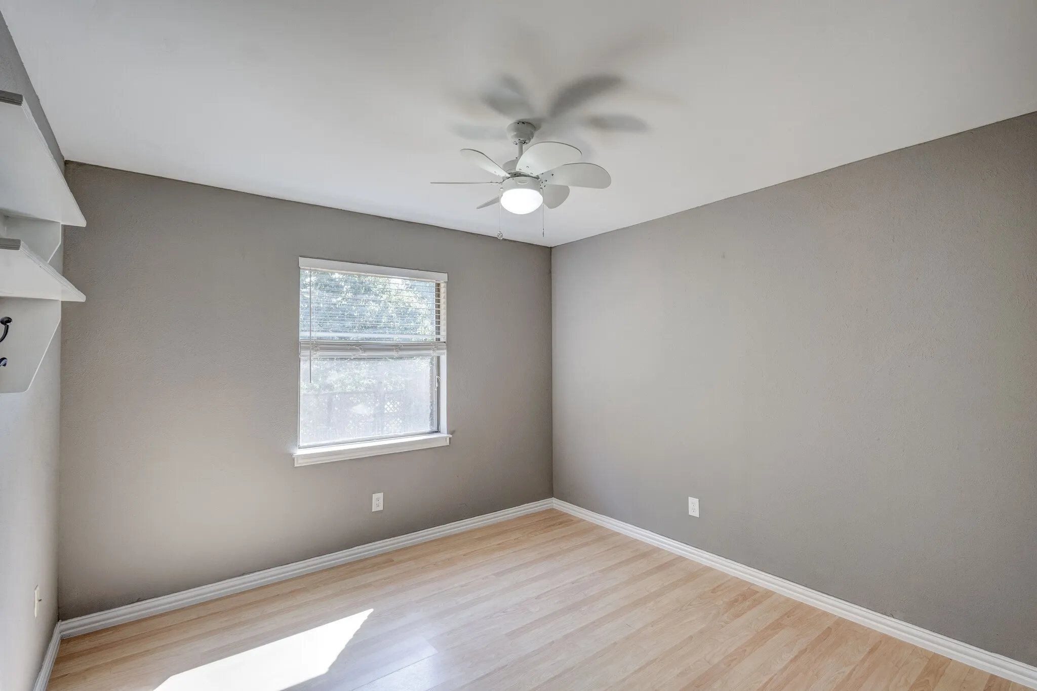 Light wood-finish flooring, neutral gray wall paint, and a ceiling fan with integrated lighting