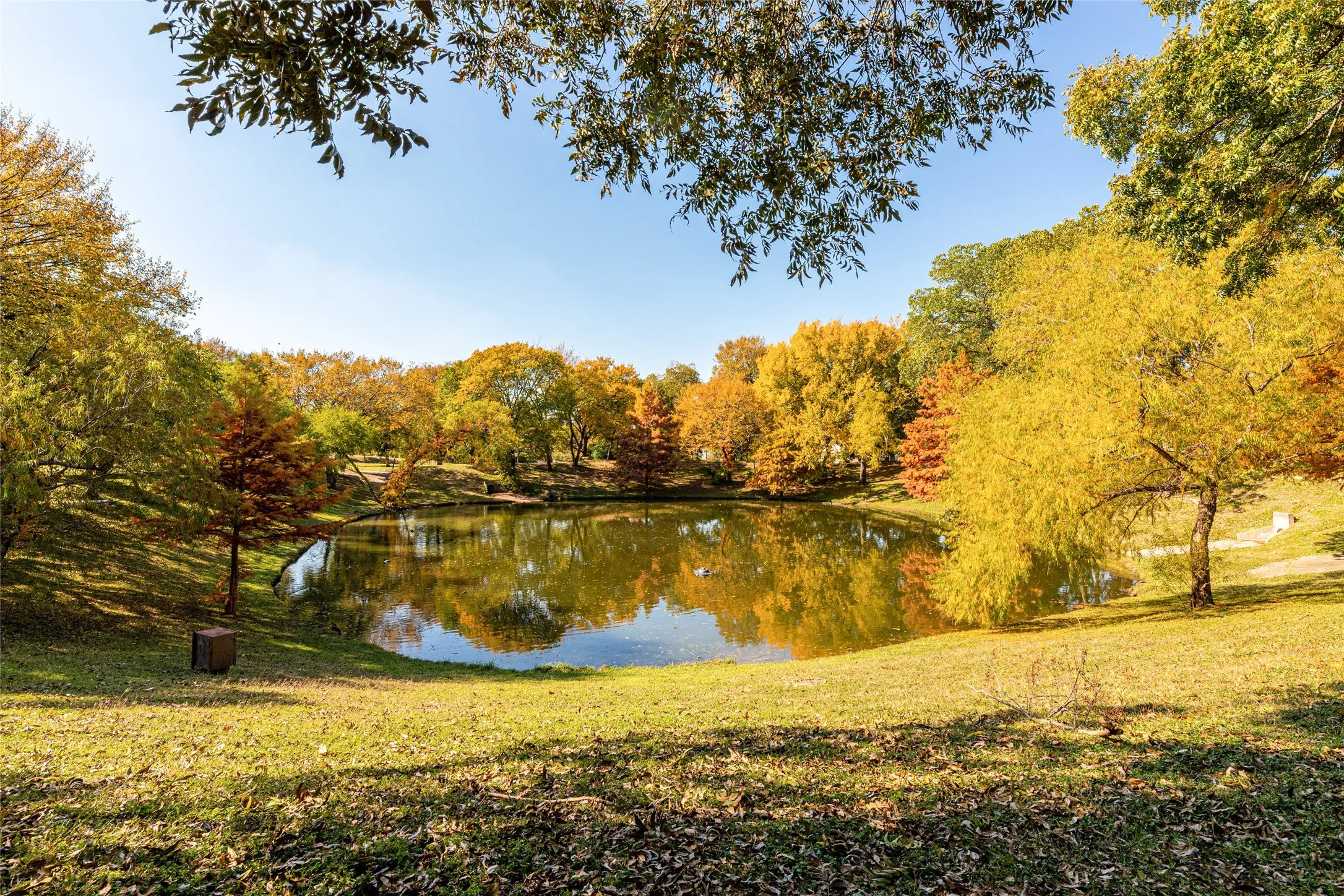 Expansive pond with tranquil water reflections, surrounded by diverse foliage showcasing seasonal colors, and bordered by sloping grassy banks