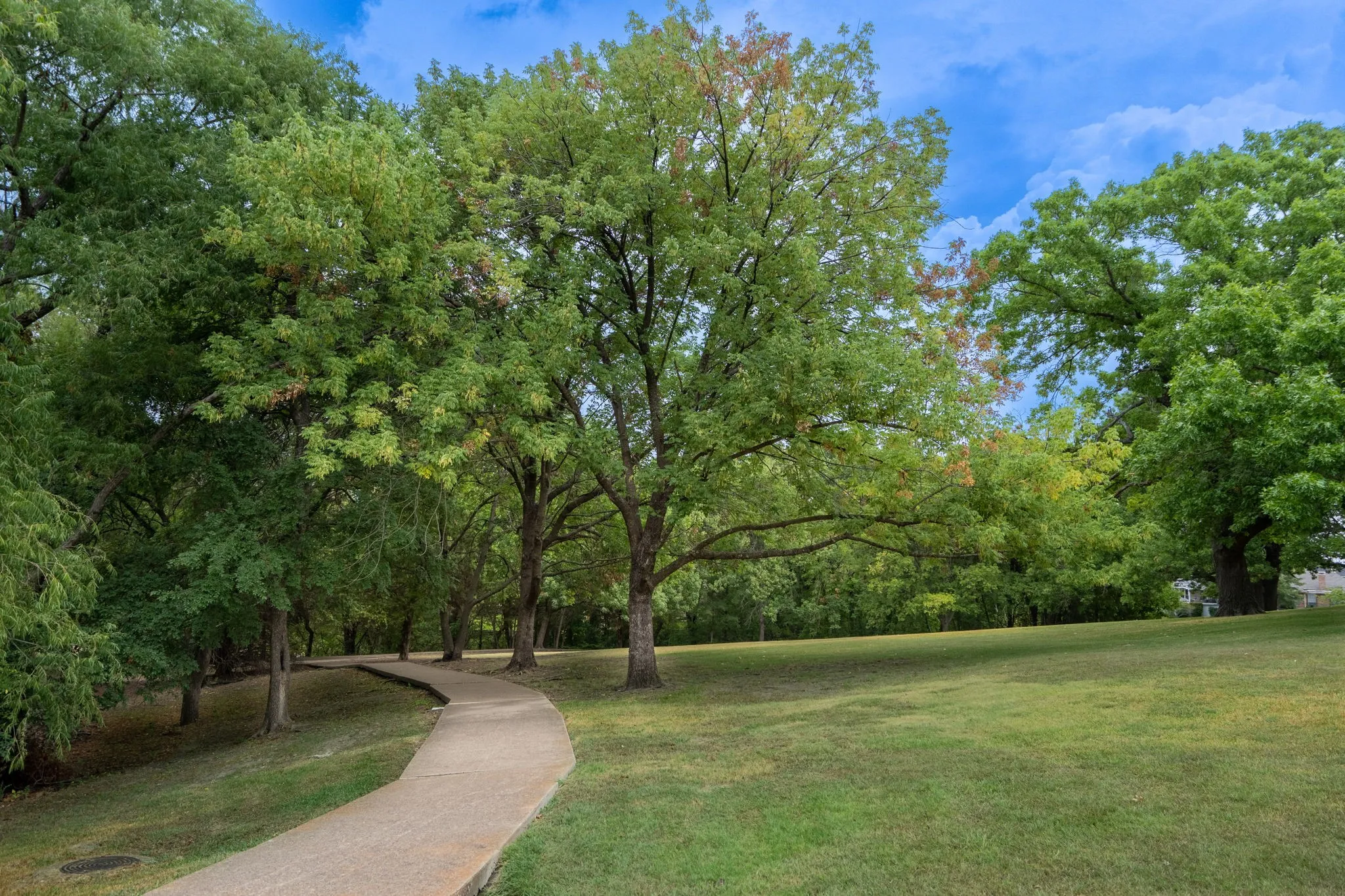 Manicured green space featuring mature trees and a paved pathway