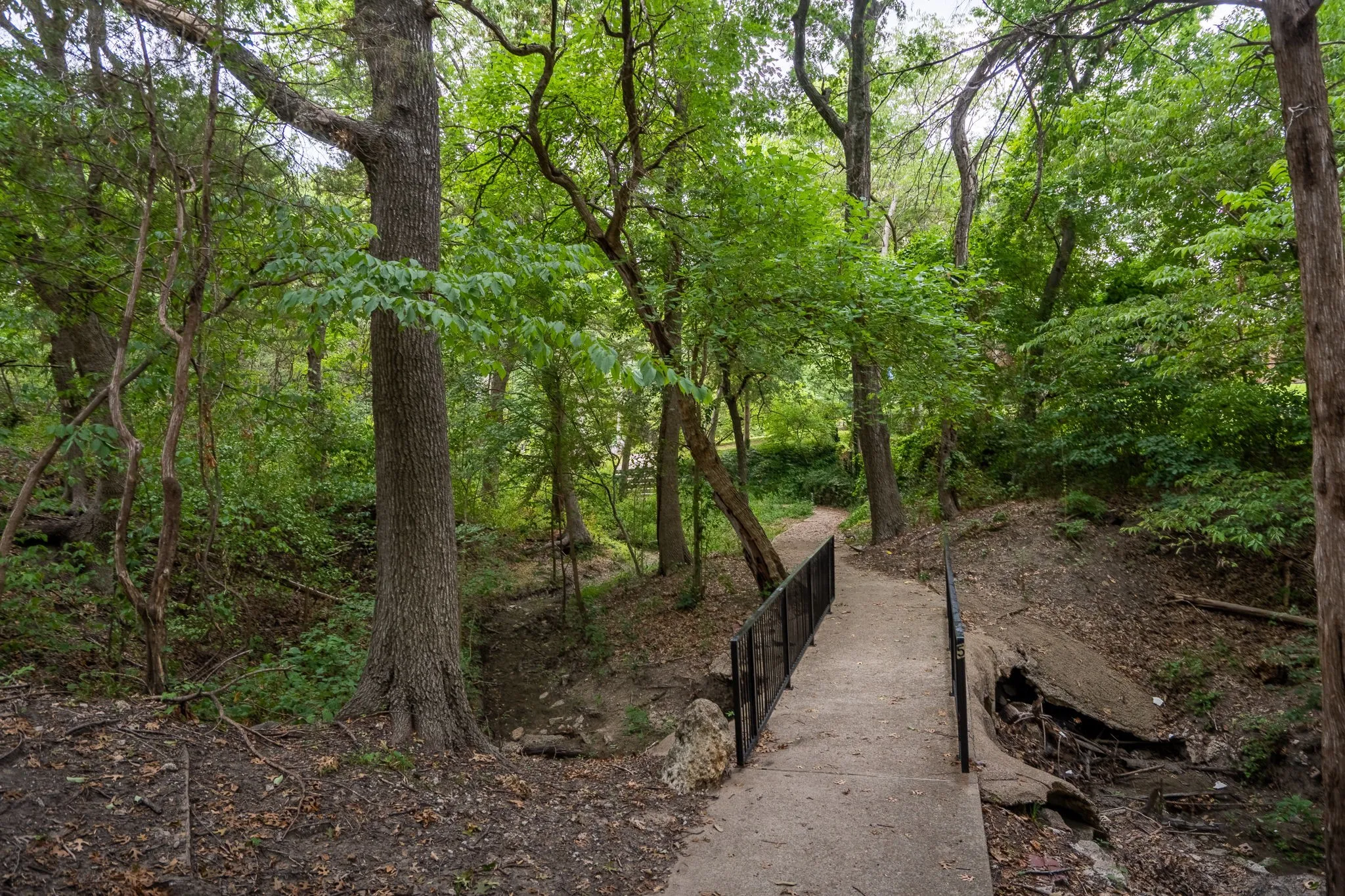 Paved pathway with a metal-railed bridge, surrounded by dense mature trees and varied foliage
