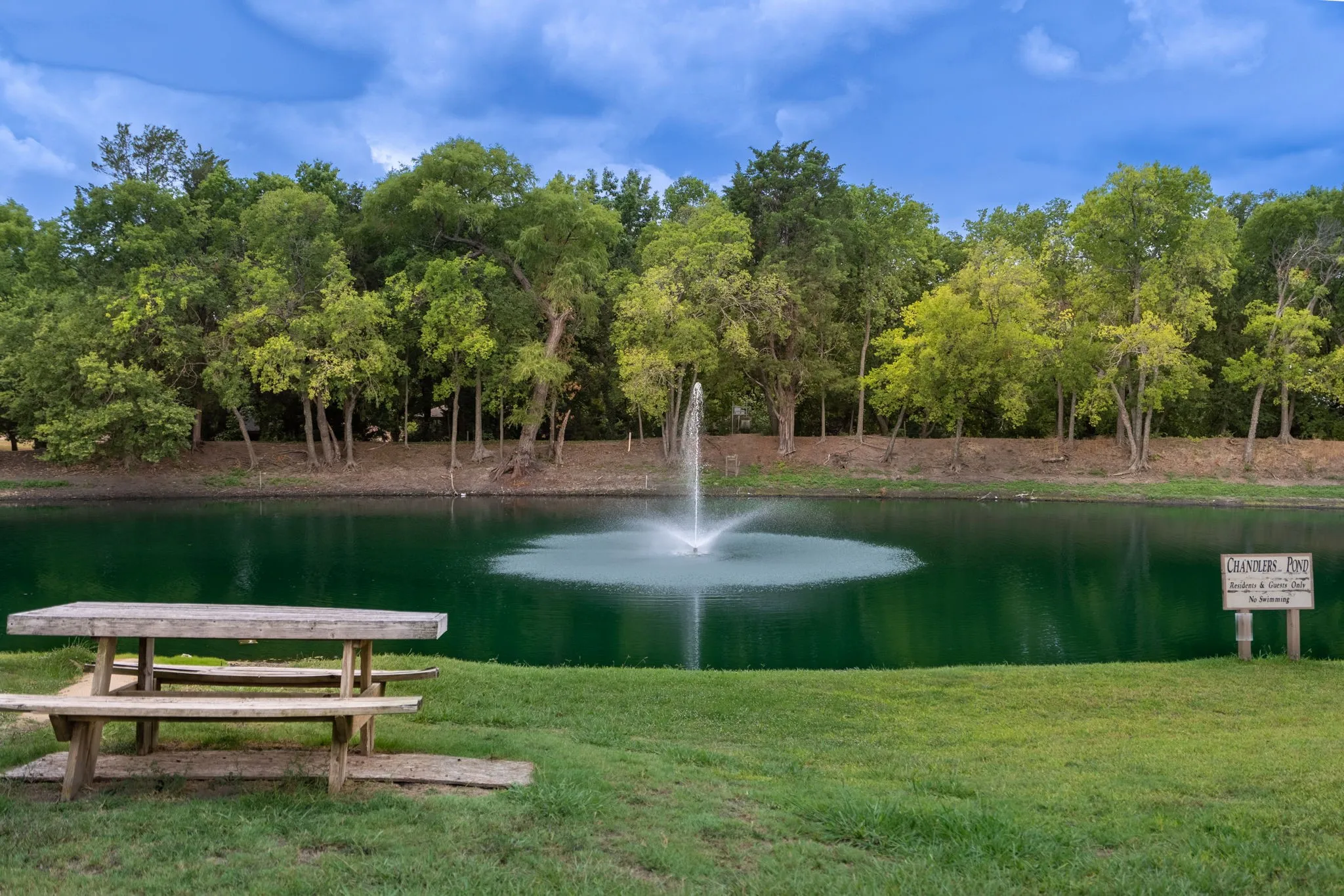 Expansive green space featuring a large pond with a central fountain, mature trees, and a picnic table