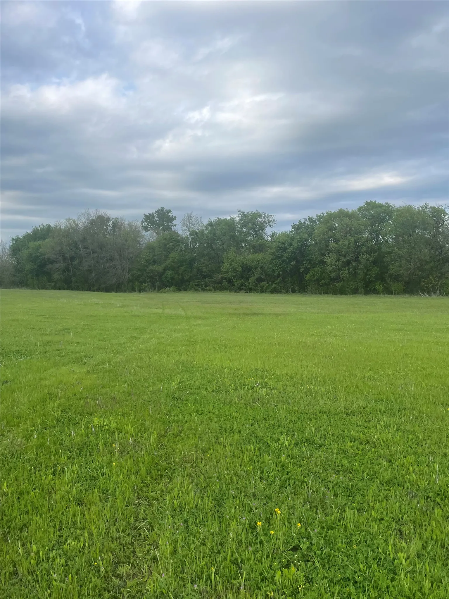 Unimproved Land For Sale in Collin County , TBD County Road 660, Farmersville, Texas 75442, 0, 0, Garage spaces, 0 Sqft, built in 0, mls#21364393, Real Estate Agent in Farmersville, Homes For Sale in Collin county, Homes For Sale in Farmersville, Realtor in Farmersville Texas, Real Estate Brokerage Independent Realty Texas, Luminita Cordes Realtor