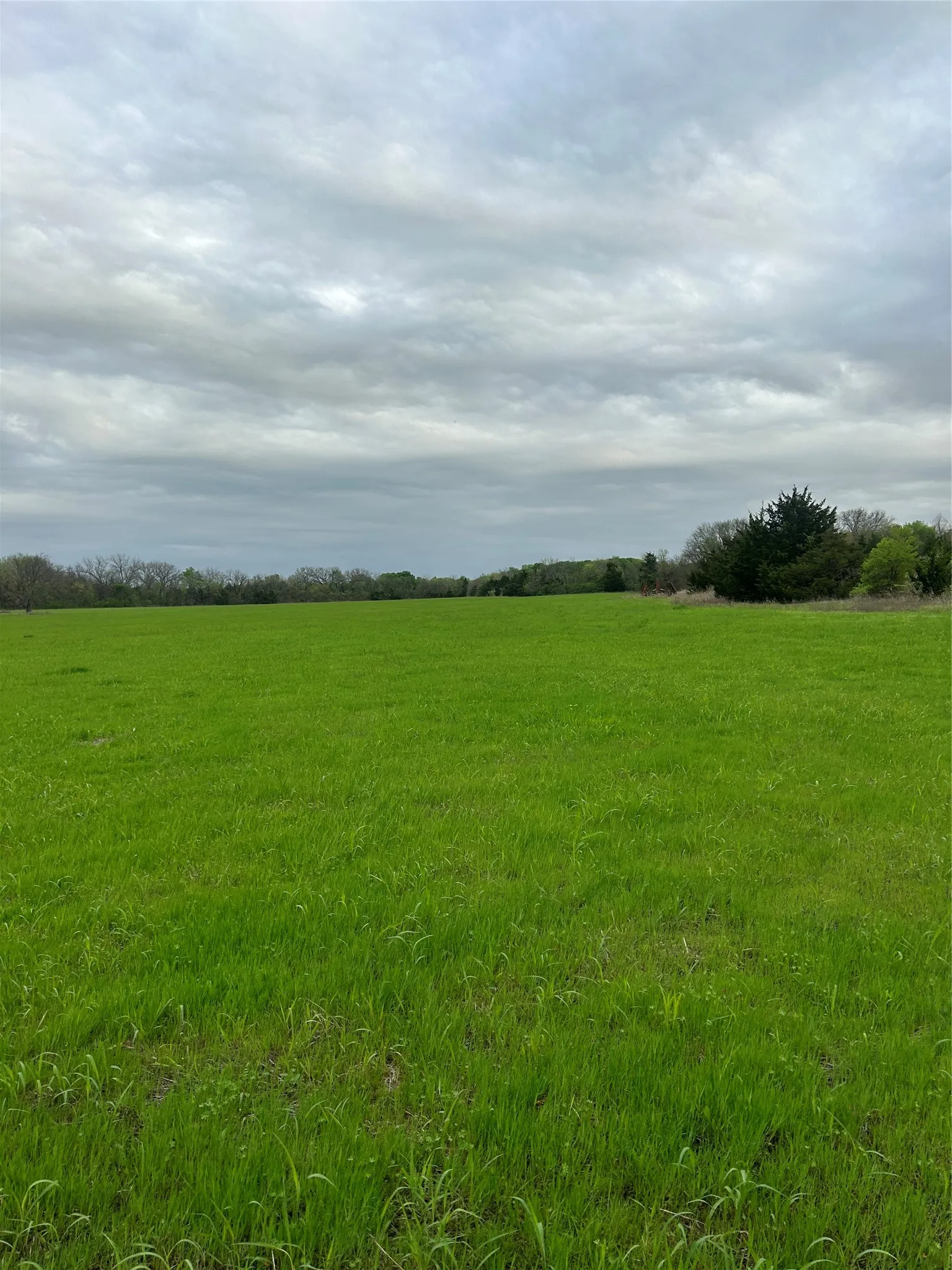 Unimproved Land For Sale in Collin County , TBD County Road 660, Farmersville, Texas 75442, 0, 0, Garage spaces, 0 Sqft, built in 0, mls#21364393, Real Estate Agent in Farmersville, Homes For Sale in Collin county, Homes For Sale in Farmersville, Realtor in Farmersville Texas, Real Estate Brokerage Independent Realty Texas, Luminita Cordes Realtor