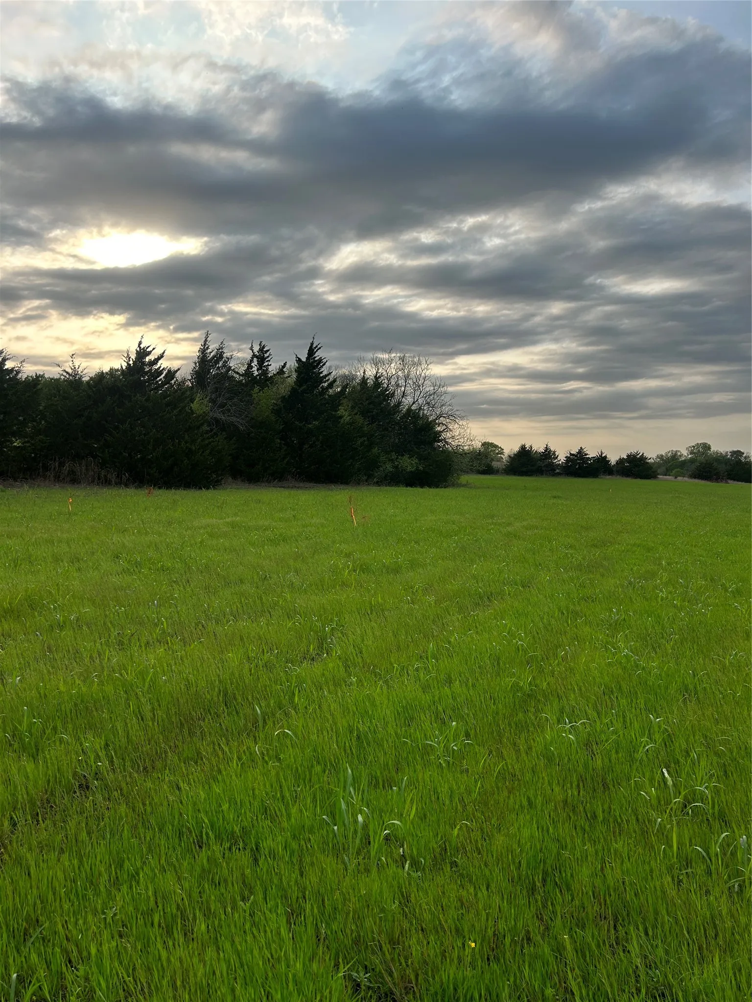 Unimproved Land For Sale in Collin County , TBD County Road 660, Farmersville, Texas 75442, 0, 0, Garage spaces, 0 Sqft, built in 0, mls#21364393, Real Estate Agent in Farmersville, Homes For Sale in Collin county, Homes For Sale in Farmersville, Realtor in Farmersville Texas, Real Estate Brokerage Independent Realty Texas, Luminita Cordes Realtor