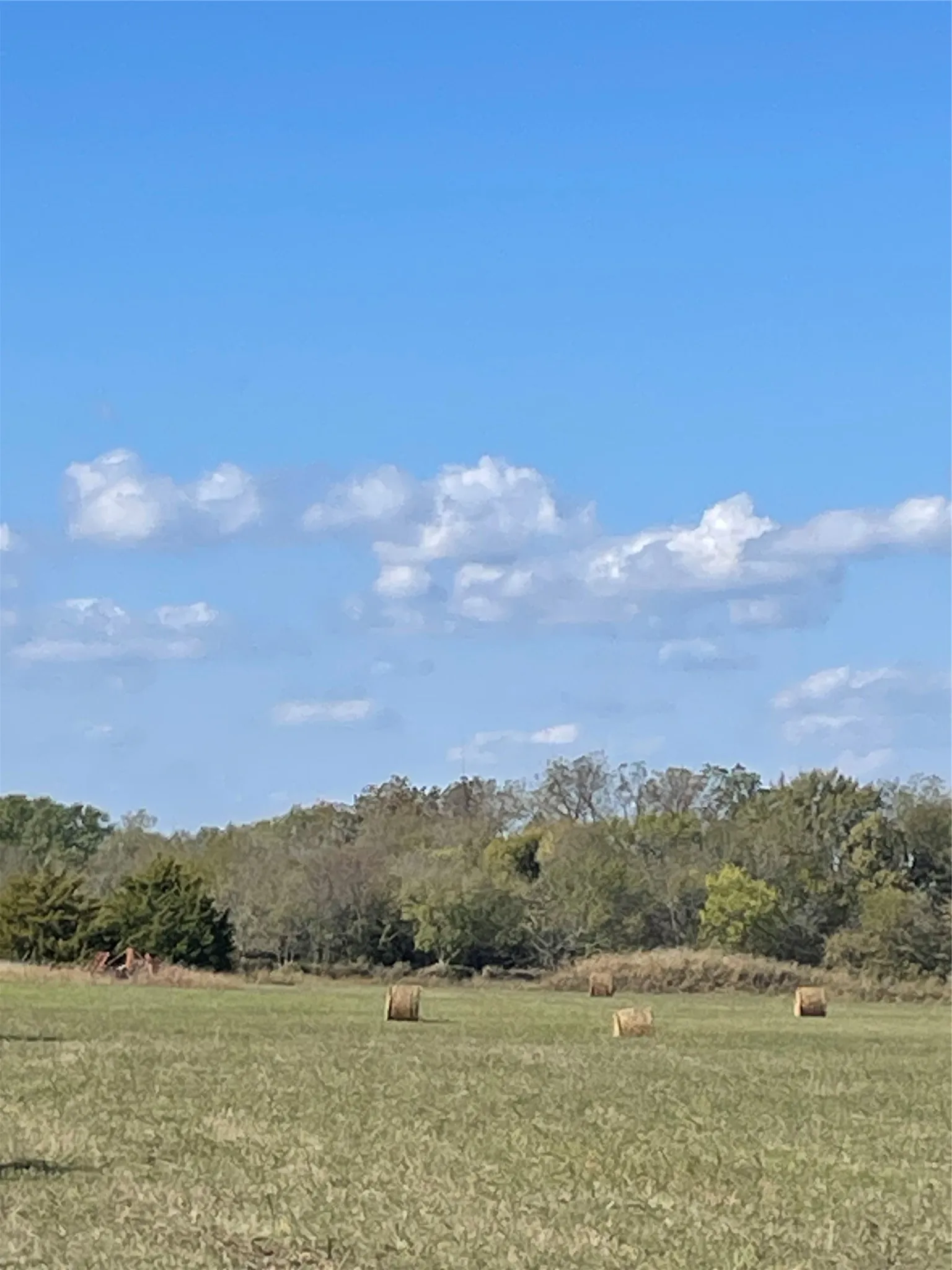 Unimproved Land For Sale in Collin County , TBD County Road 660, Farmersville, Texas 75442, 0, 0, Garage spaces, 0 Sqft, built in 0, mls#21364393, Real Estate Agent in Farmersville, Homes For Sale in Collin county, Homes For Sale in Farmersville, Realtor in Farmersville Texas, Real Estate Brokerage Independent Realty Texas, Luminita Cordes Realtor