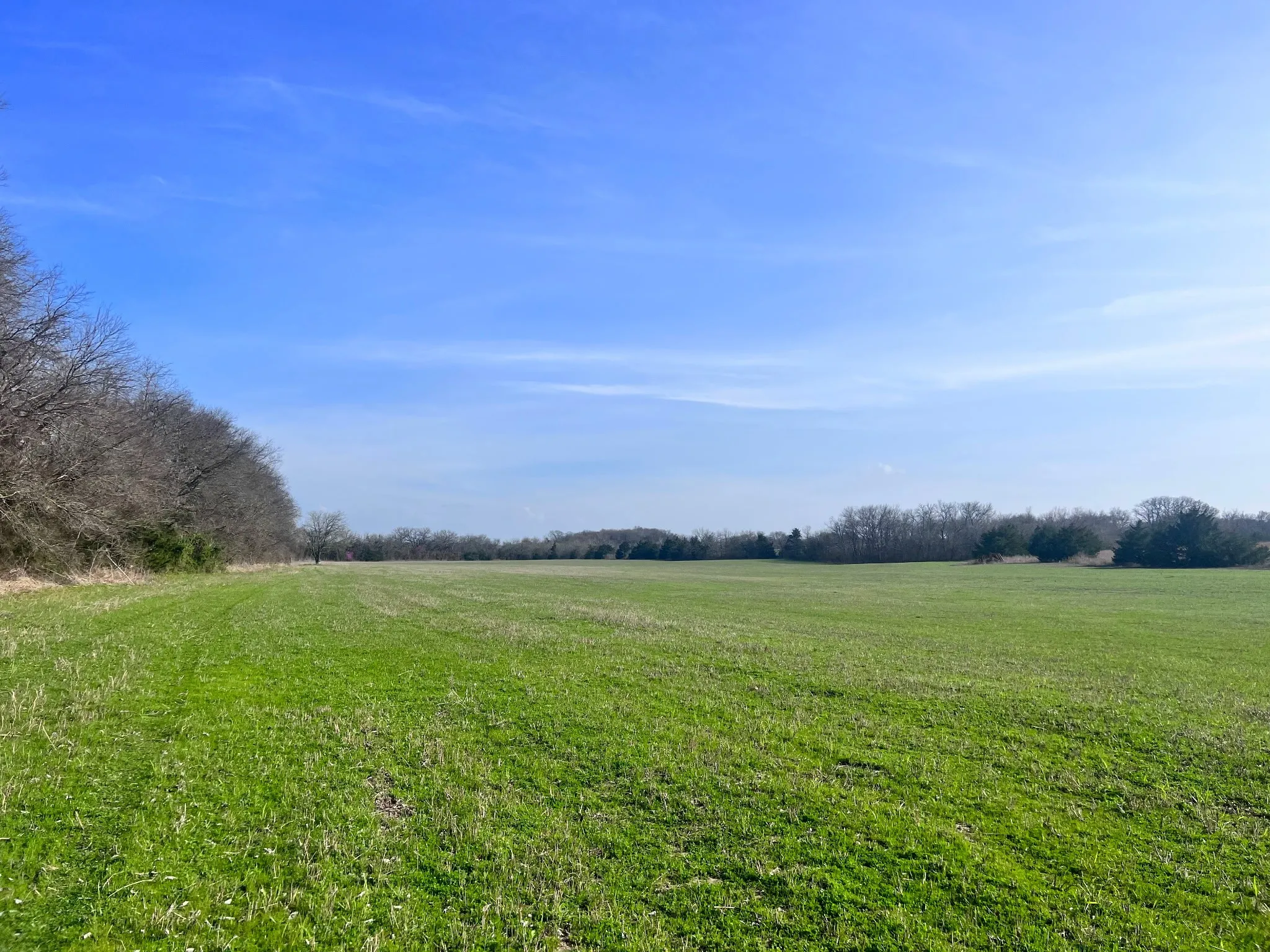 Unimproved Land For Sale in Collin County , TBD County Road 660, Farmersville, Texas 75442, 0, 0, Garage spaces, 0 Sqft, built in 0, mls#21364393, Real Estate Agent in Farmersville, Homes For Sale in Collin county, Homes For Sale in Farmersville, Realtor in Farmersville Texas, Real Estate Brokerage Independent Realty Texas, Luminita Cordes Realtor