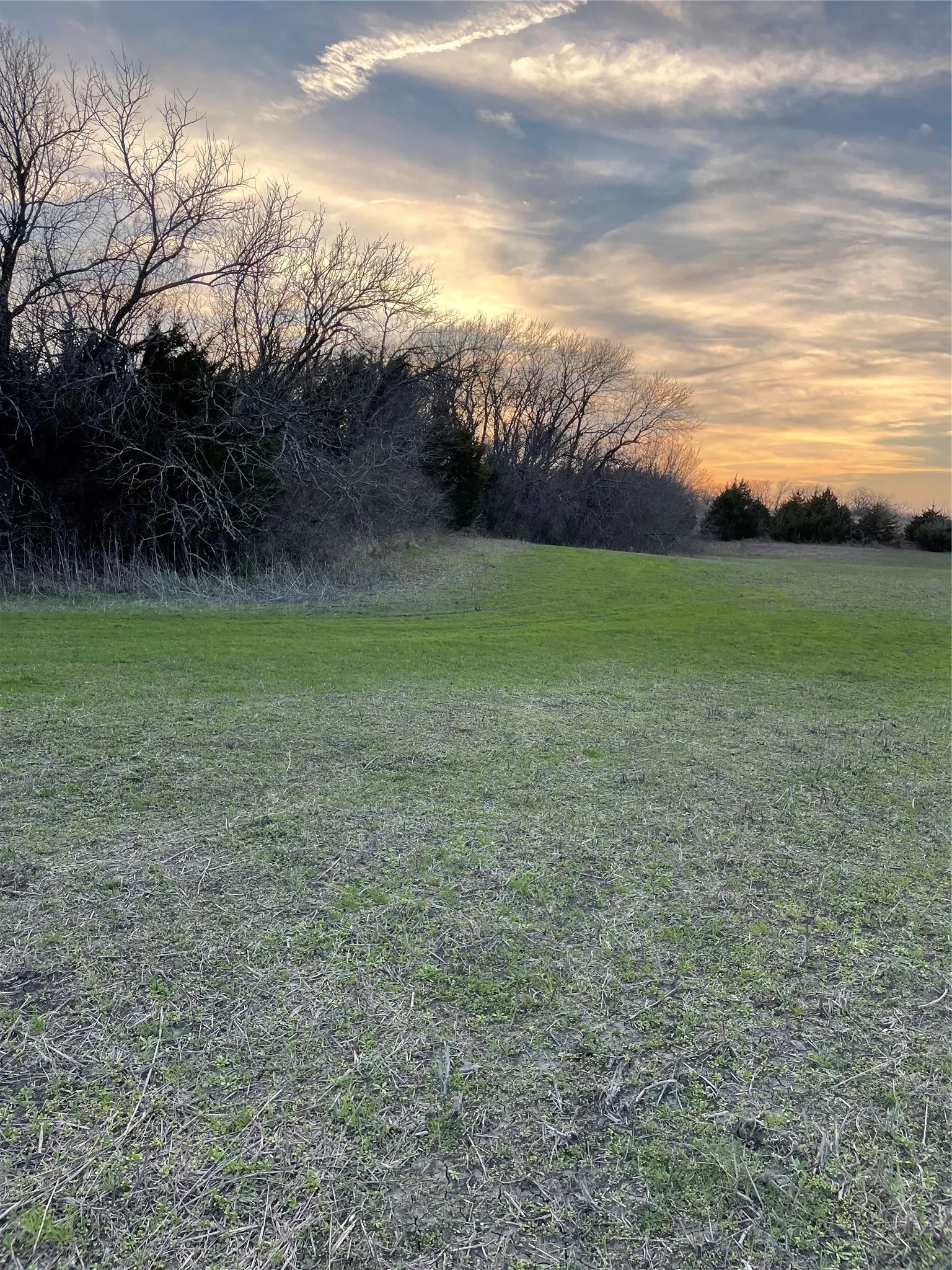 Unimproved Land For Sale in Collin County , TBD County Road 660, Farmersville, Texas 75442, 0, 0, Garage spaces, 0 Sqft, built in 0, mls#21364393, Real Estate Agent in Farmersville, Homes For Sale in Collin county, Homes For Sale in Farmersville, Realtor in Farmersville Texas, Real Estate Brokerage Independent Realty Texas, Luminita Cordes Realtor