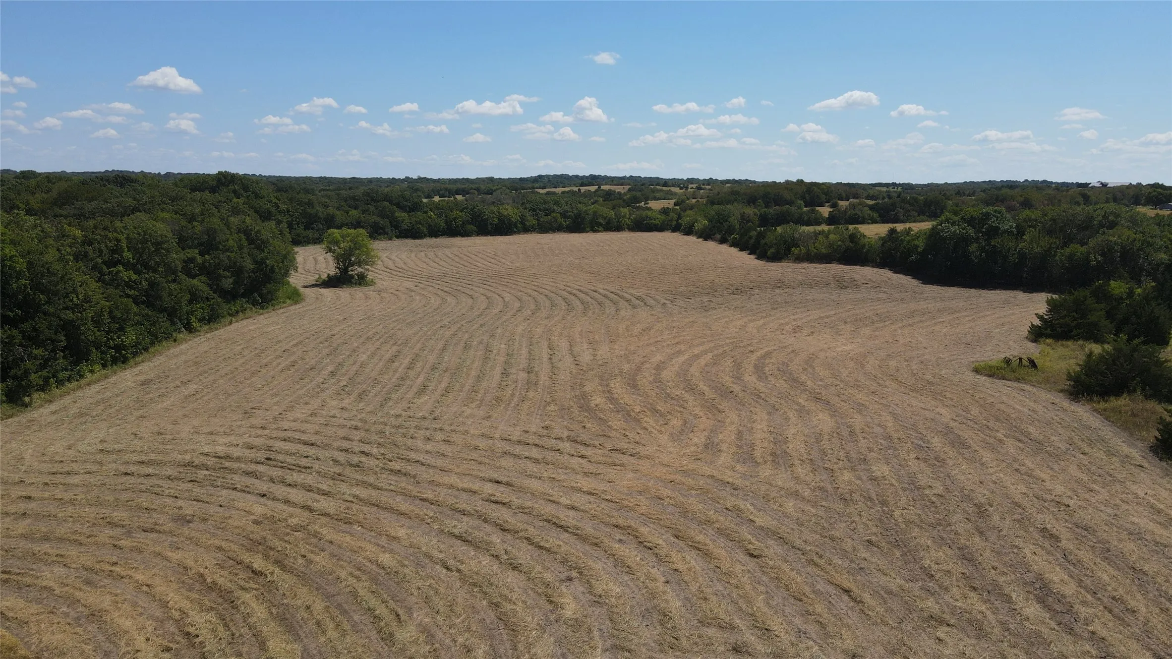 Unimproved Land For Sale in Collin County , TBD County Road 660, Farmersville, Texas 75442, 0, 0, Garage spaces, 0 Sqft, built in 0, mls#21364393, Real Estate Agent in Farmersville, Homes For Sale in Collin county, Homes For Sale in Farmersville, Realtor in Farmersville Texas, Real Estate Brokerage Independent Realty Texas, Luminita Cordes Realtor