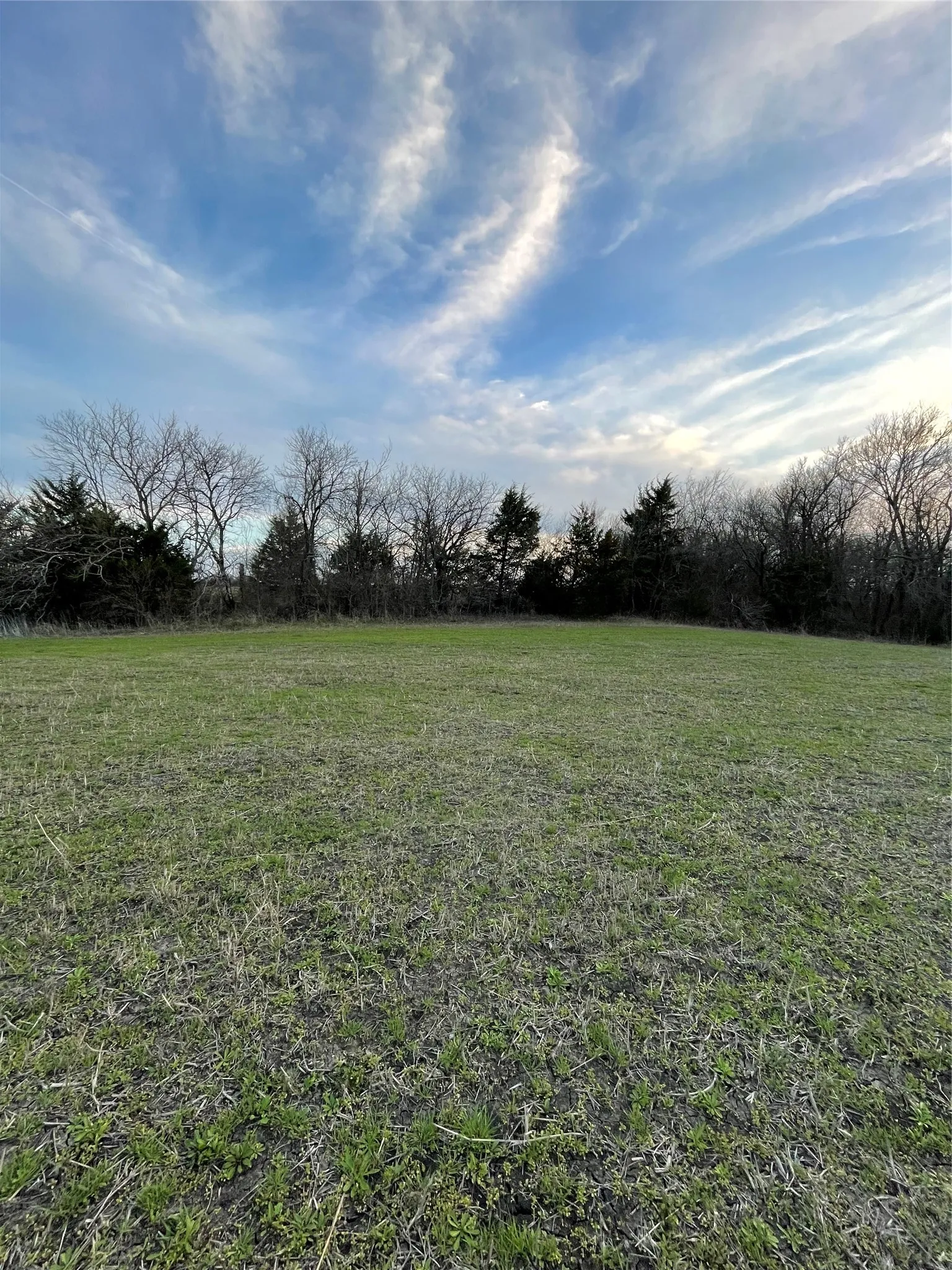 Unimproved Land For Sale in Collin County , TBD County Road 660, Farmersville, Texas 75442, 0, 0, Garage spaces, 0 Sqft, built in 0, mls#21364393, Real Estate Agent in Farmersville, Homes For Sale in Collin county, Homes For Sale in Farmersville, Realtor in Farmersville Texas, Real Estate Brokerage Independent Realty Texas, Luminita Cordes Realtor
