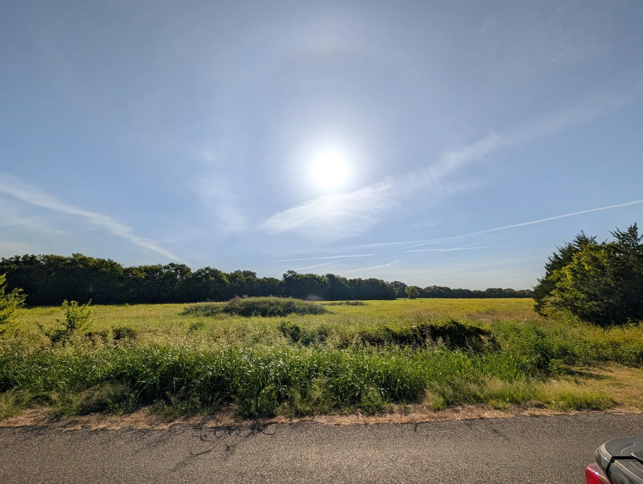 Unimproved Land For Sale in Collin County , TBD County Road 660, Farmersville, Texas 75442, 0, 0, Garage spaces, 0 Sqft, built in 0, mls#21364393, Real Estate Agent in Farmersville, Homes For Sale in Collin county, Homes For Sale in Farmersville, Realtor in Farmersville Texas, Real Estate Brokerage Independent Realty Texas, Luminita Cordes Realtor