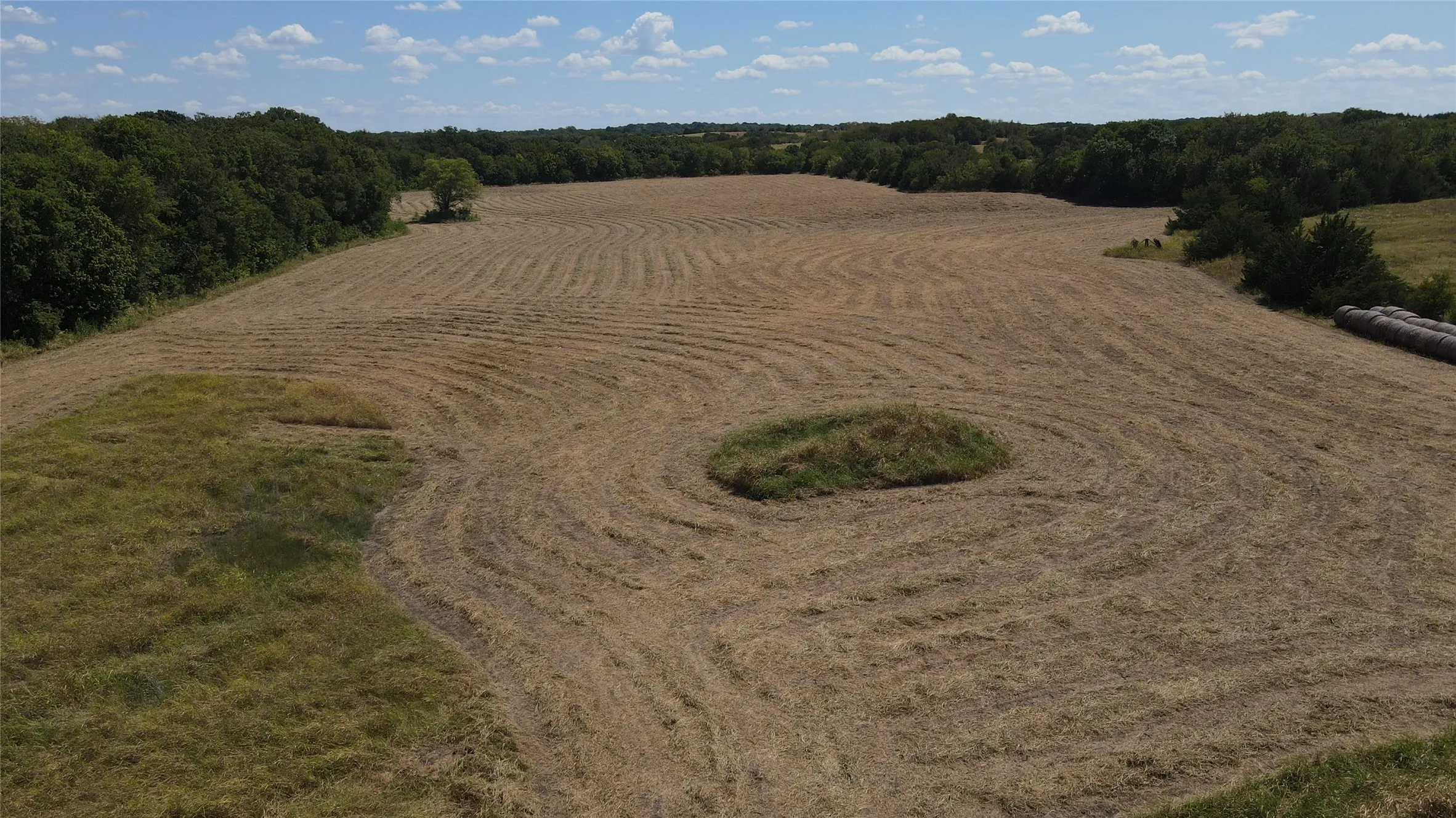 Unimproved Land For Sale in Collin County , TBD County Road 660, Farmersville, Texas 75442, 0, 0, Garage spaces, 0 Sqft, built in 0, mls#21364393, Real Estate Agent in Farmersville, Homes For Sale in Collin county, Homes For Sale in Farmersville, Realtor in Farmersville Texas, Real Estate Brokerage Independent Realty Texas, Luminita Cordes Realtor