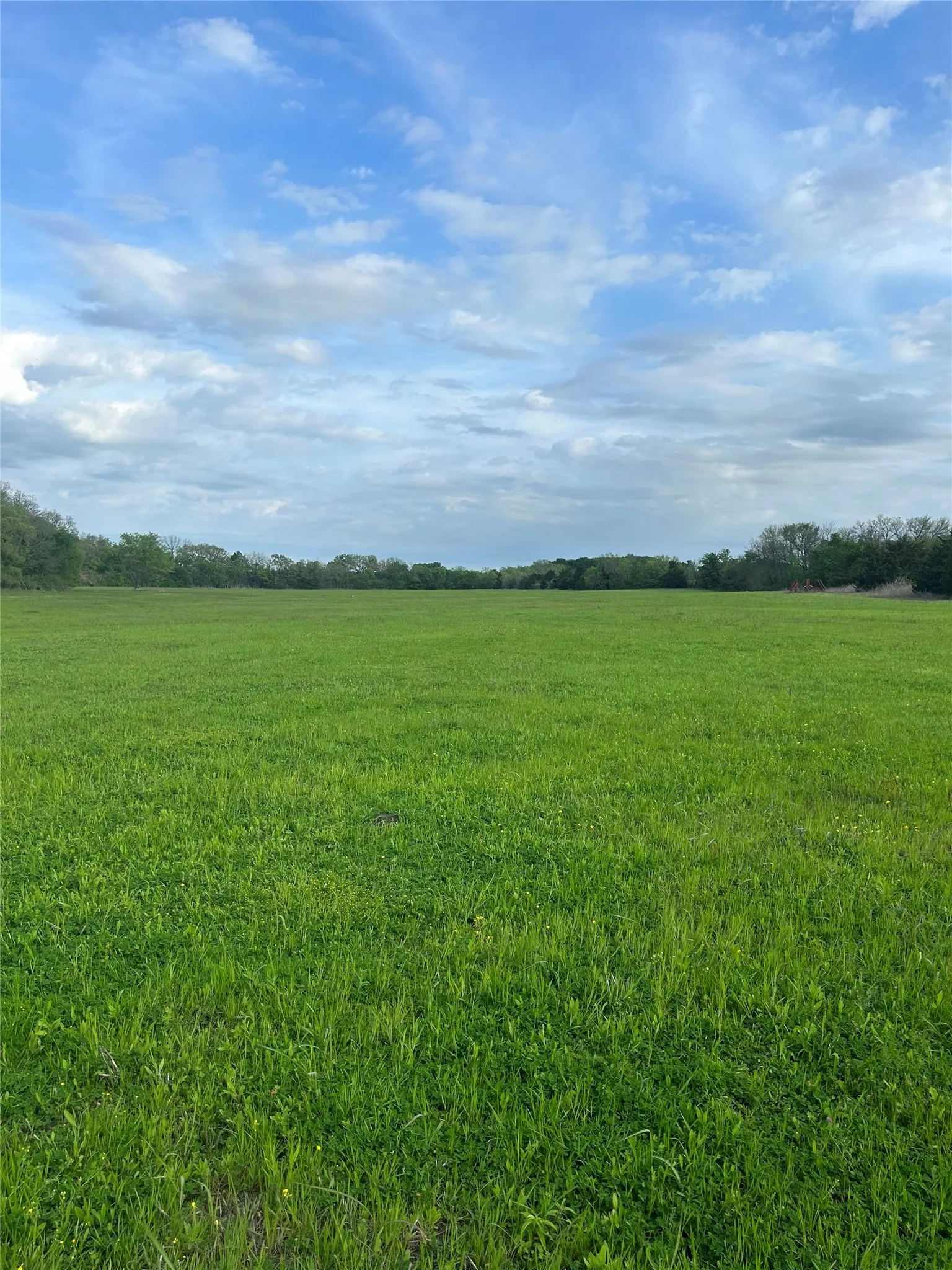 Unimproved Land For Sale in Collin County , TBD County Road 660, Farmersville, Texas 75442, 0, 0, Garage spaces, 0 Sqft, built in 0, mls#21364393, Real Estate Agent in Farmersville, Homes For Sale in Collin county, Homes For Sale in Farmersville, Realtor in Farmersville Texas, Real Estate Brokerage Independent Realty Texas, Luminita Cordes Realtor