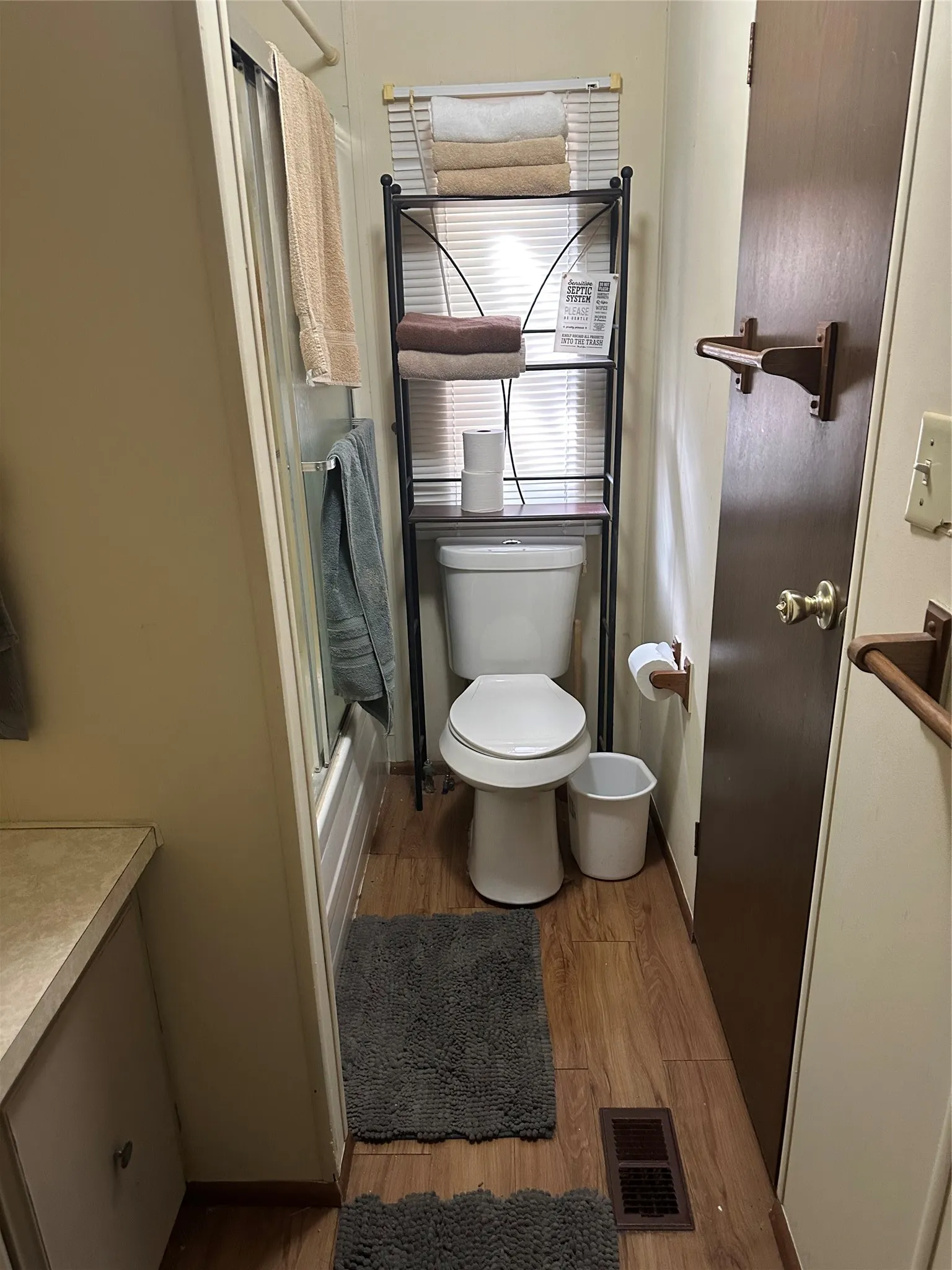 Wood-finish flooring with a vanity and built-in toilet