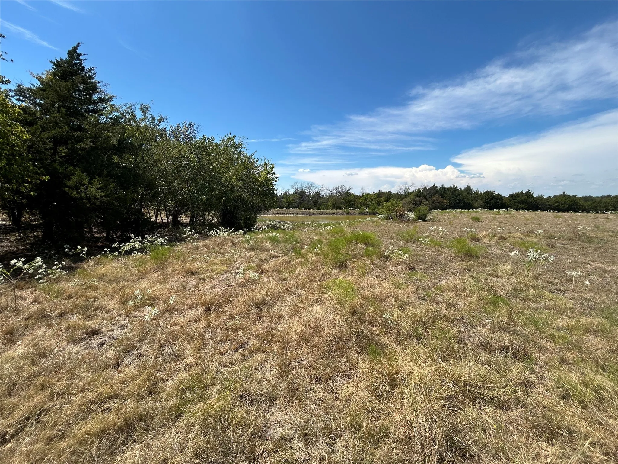 Unimproved Land For Sale in Collin County , TBD Lone Tree Street, Nevada, Texas 75173, 0, 0, Garage spaces, 0 Sqft, built in 0, mls#21382908, Real Estate Agent in Nevada, Homes For Sale in Collin county, Homes For Sale in Nevada, Realtor in Nevada Texas, Real Estate Brokerage Independent Realty Texas, Luminita Cordes Realtor