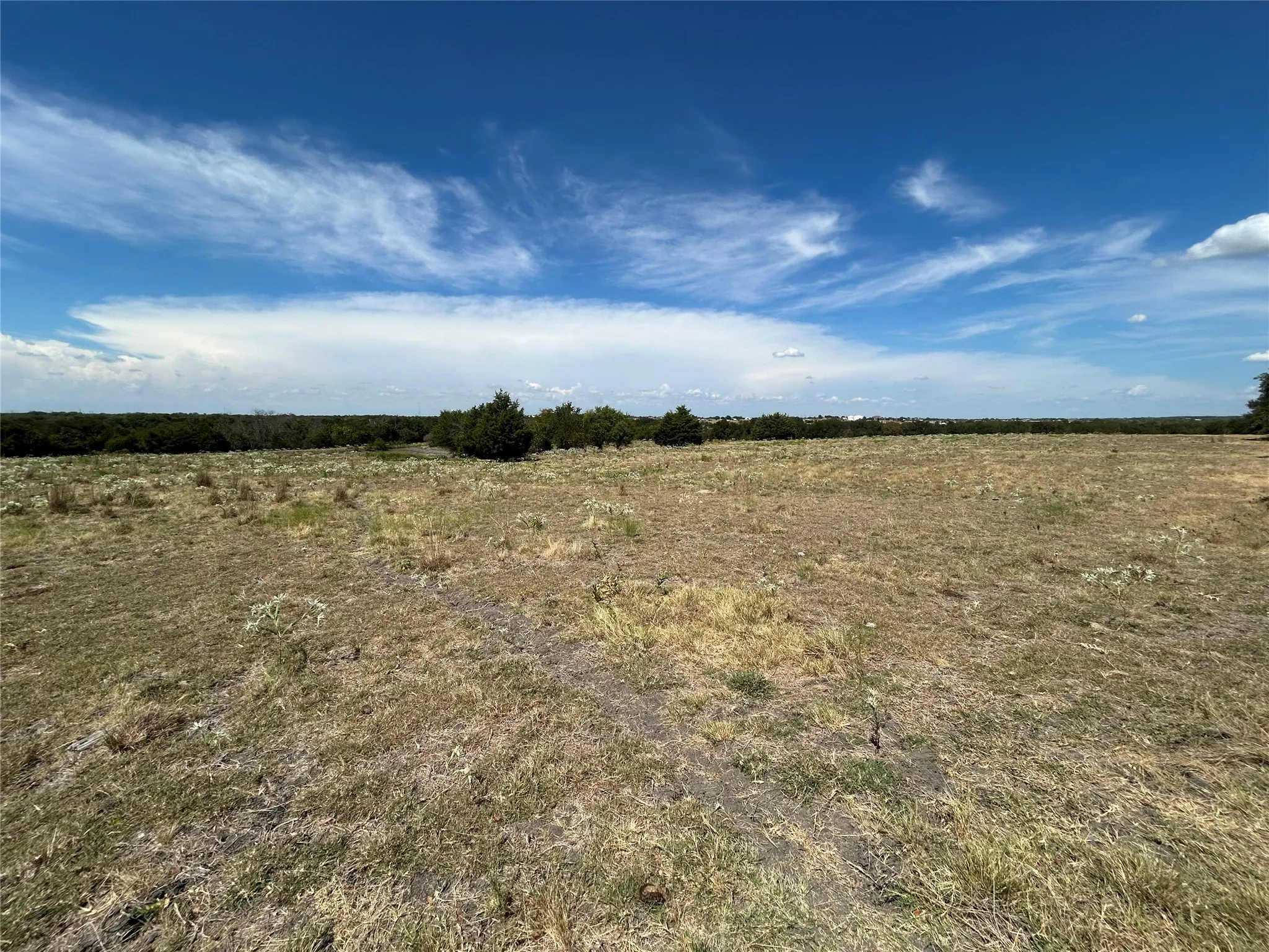 Unimproved Land For Sale in Collin County , TBD Lone Tree Street, Nevada, Texas 75173, 0, 0, Garage spaces, 0 Sqft, built in 0, mls#21382908, Real Estate Agent in Nevada, Homes For Sale in Collin county, Homes For Sale in Nevada, Realtor in Nevada Texas, Real Estate Brokerage Independent Realty Texas, Luminita Cordes Realtor