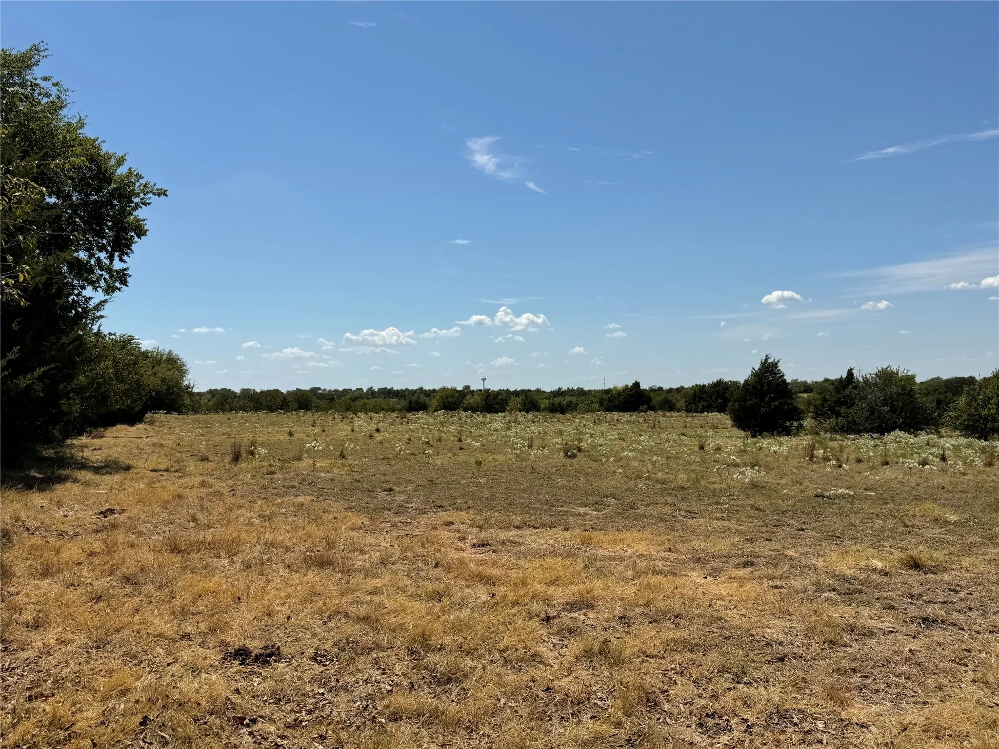 Unimproved Land For Sale in Collin County , TBD Lone Tree Street, Nevada, Texas 75173, 0, 0, Garage spaces, 0 Sqft, built in 0, mls#21382908, Real Estate Agent in Nevada, Homes For Sale in Collin county, Homes For Sale in Nevada, Realtor in Nevada Texas, Real Estate Brokerage Independent Realty Texas, Luminita Cordes Realtor