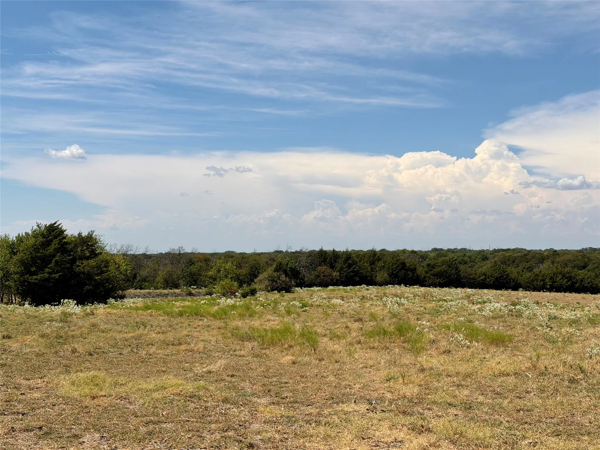 Unimproved Land For Sale in Collin County , TBD Lone Tree Street, Nevada, Texas 75173, 0, 0, Garage spaces, 0 Sqft, built in 0, mls#21382908, Real Estate Agent in Nevada, Homes For Sale in Collin county, Homes For Sale in Nevada, Realtor in Nevada Texas, Real Estate Brokerage Independent Realty Texas, Luminita Cordes Realtor