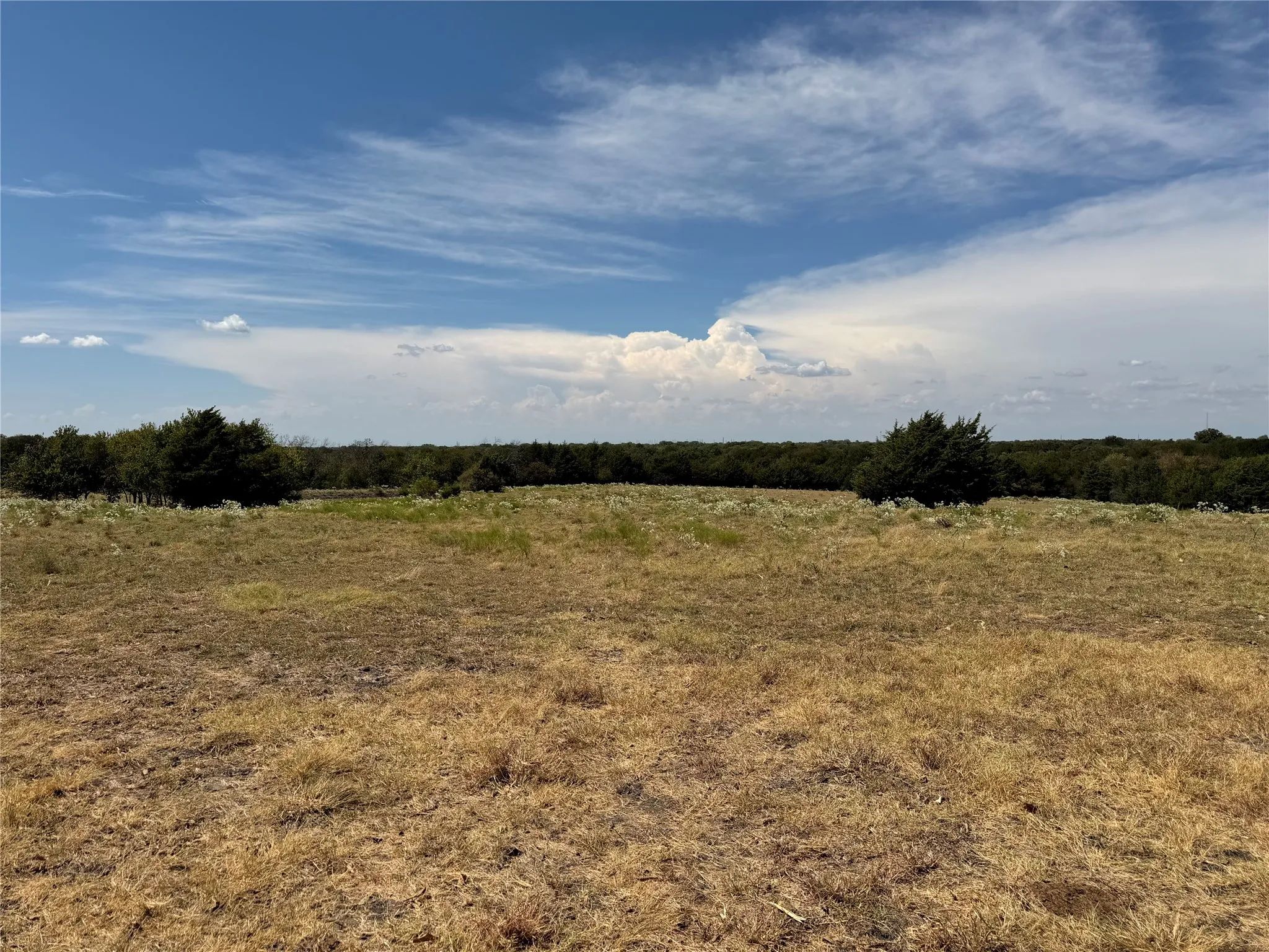 Unimproved Land For Sale in Collin County , TBD Lone Tree Street, Nevada, Texas 75173, 0, 0, Garage spaces, 0 Sqft, built in 0, mls#21382908, Real Estate Agent in Nevada, Homes For Sale in Collin county, Homes For Sale in Nevada, Realtor in Nevada Texas, Real Estate Brokerage Independent Realty Texas, Luminita Cordes Realtor
