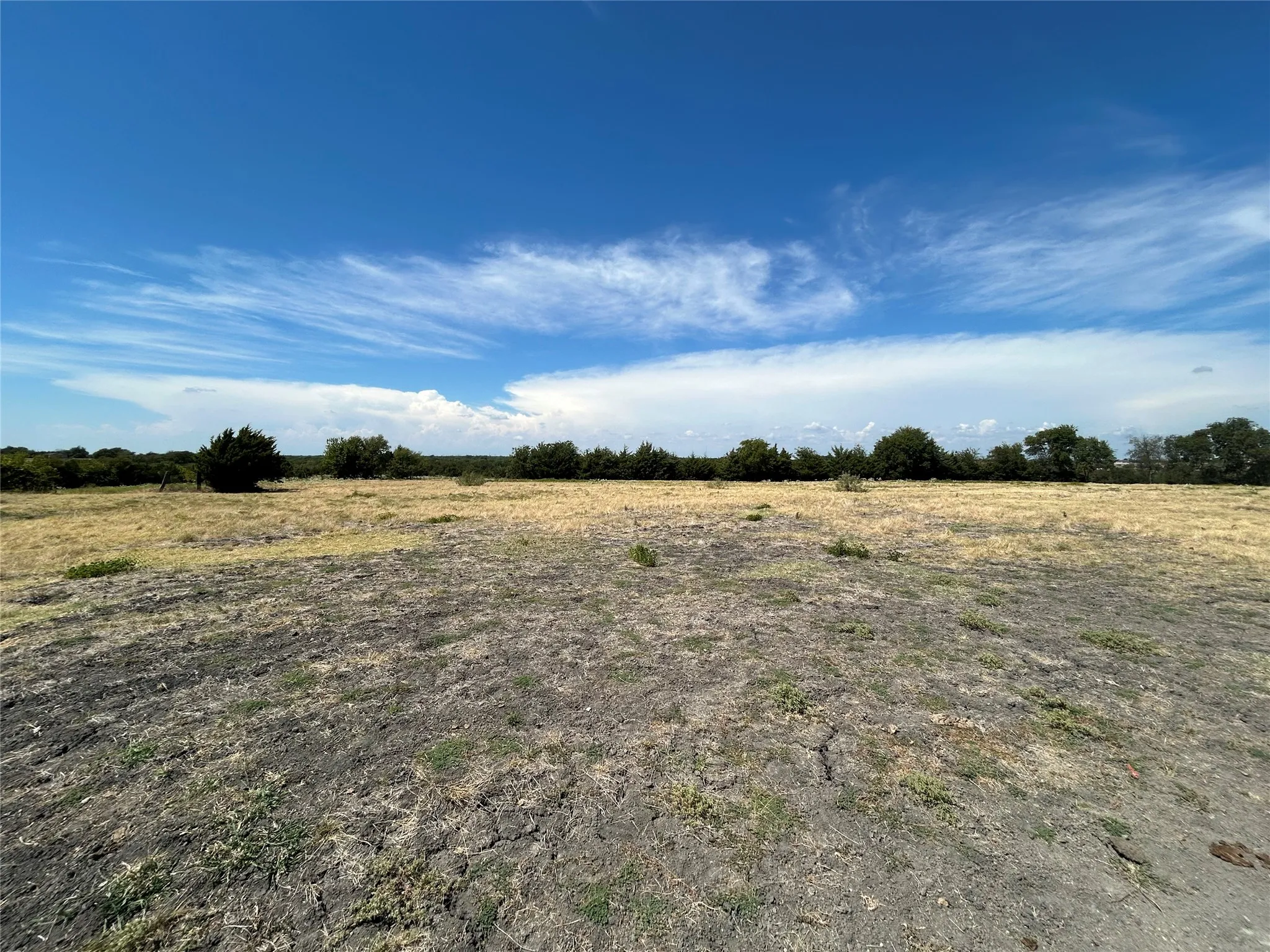 Unimproved Land For Sale in Collin County , TBD Lone Tree Street, Nevada, Texas 75173, 0, 0, Garage spaces, 0 Sqft, built in 0, mls#21382908, Real Estate Agent in Nevada, Homes For Sale in Collin county, Homes For Sale in Nevada, Realtor in Nevada Texas, Real Estate Brokerage Independent Realty Texas, Luminita Cordes Realtor