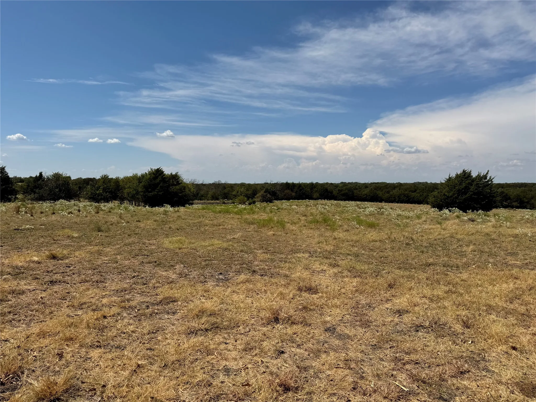 Unimproved Land For Sale in Collin County , TBD Lone Tree Street, Nevada, Texas 75173, 0, 0, Garage spaces, 0 Sqft, built in 0, mls#21382908, Real Estate Agent in Nevada, Homes For Sale in Collin county, Homes For Sale in Nevada, Realtor in Nevada Texas, Real Estate Brokerage Independent Realty Texas, Luminita Cordes Realtor