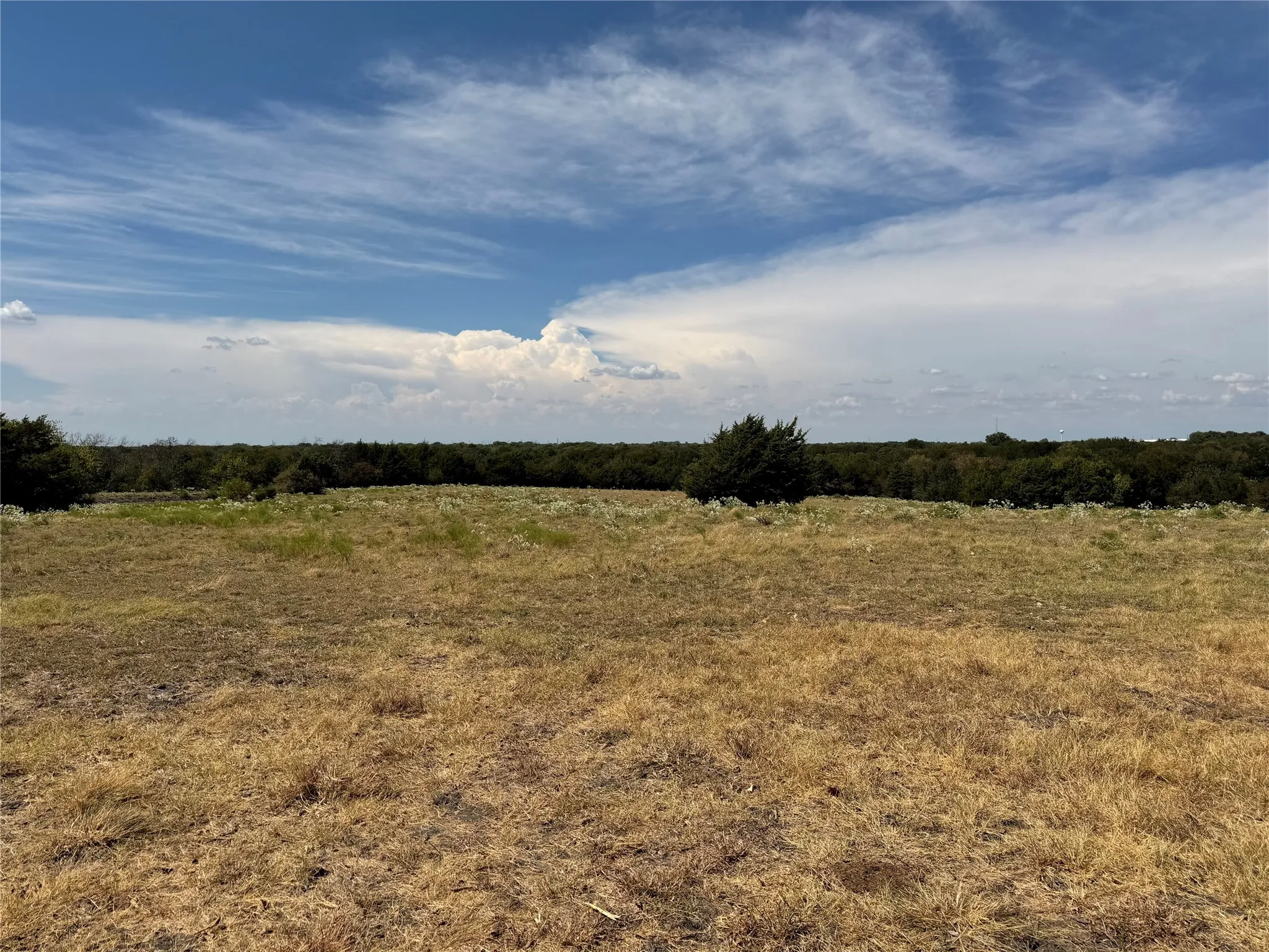 Unimproved Land For Sale in Collin County , TBD Lone Tree Street, Nevada, Texas 75173, 0, 0, Garage spaces, 0 Sqft, built in 0, mls#21382908, Real Estate Agent in Nevada, Homes For Sale in Collin county, Homes For Sale in Nevada, Realtor in Nevada Texas, Real Estate Brokerage Independent Realty Texas, Luminita Cordes Realtor