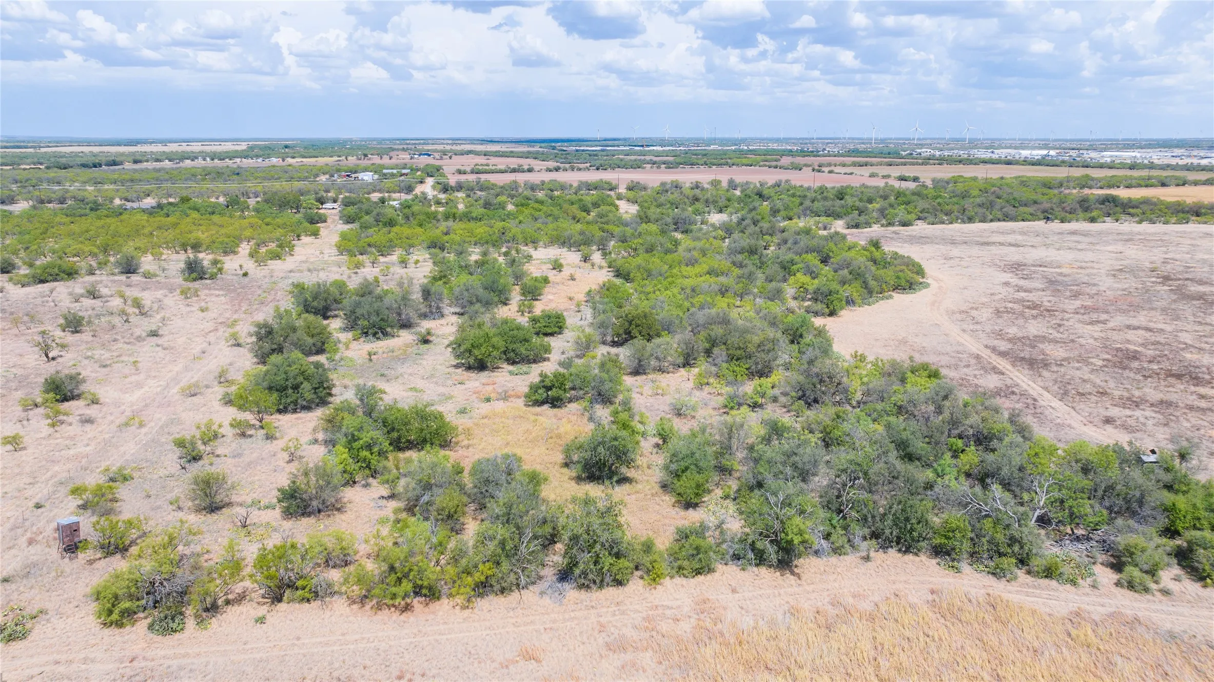 Unimproved Land For Sale in Shackelford County , TBD 84.1 Acres CR 151, Abilene, Texas 79601, 0, 0, Garage spaces, 0 Sqft, built in 0, mls#21380650, Real Estate Agent in Abilene, Homes For Sale in Shackelford county, Homes For Sale in Abilene, Realtor in Abilene Texas, Real Estate Brokerage Independent Realty Texas, Luminita Cordes Realtor