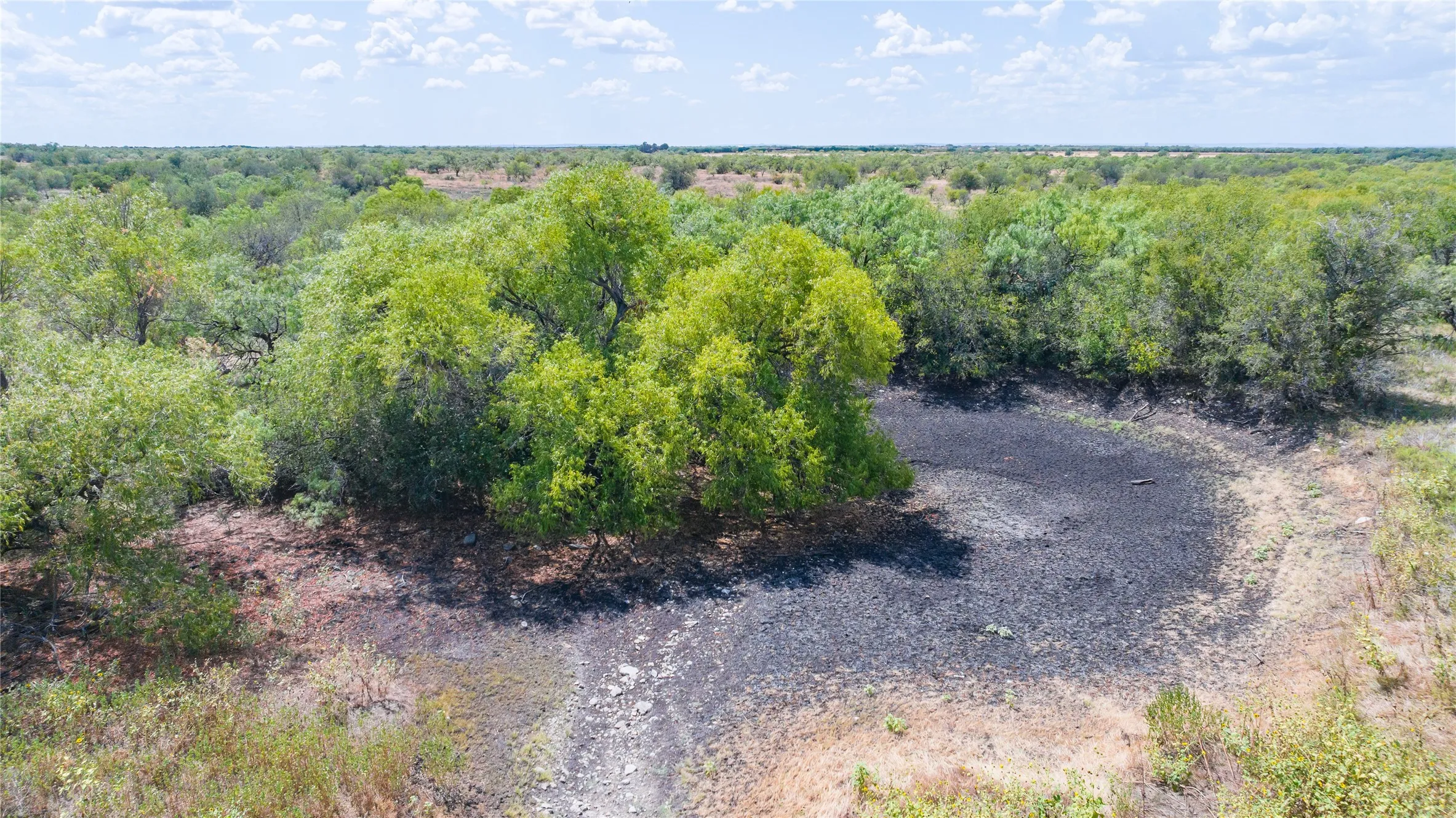 Unimproved Land For Sale in Shackelford County , TBD 84.1 Acres CR 151, Abilene, Texas 79601, 0, 0, Garage spaces, 0 Sqft, built in 0, mls#21380650, Real Estate Agent in Abilene, Homes For Sale in Shackelford county, Homes For Sale in Abilene, Realtor in Abilene Texas, Real Estate Brokerage Independent Realty Texas, Luminita Cordes Realtor