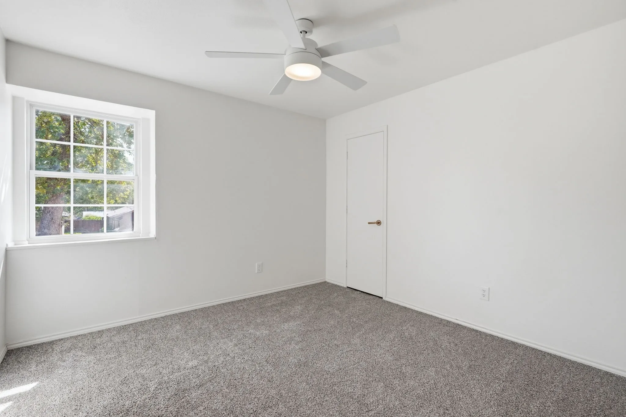 White walls, gray carpet, and a white ceiling fan with integrated lighting