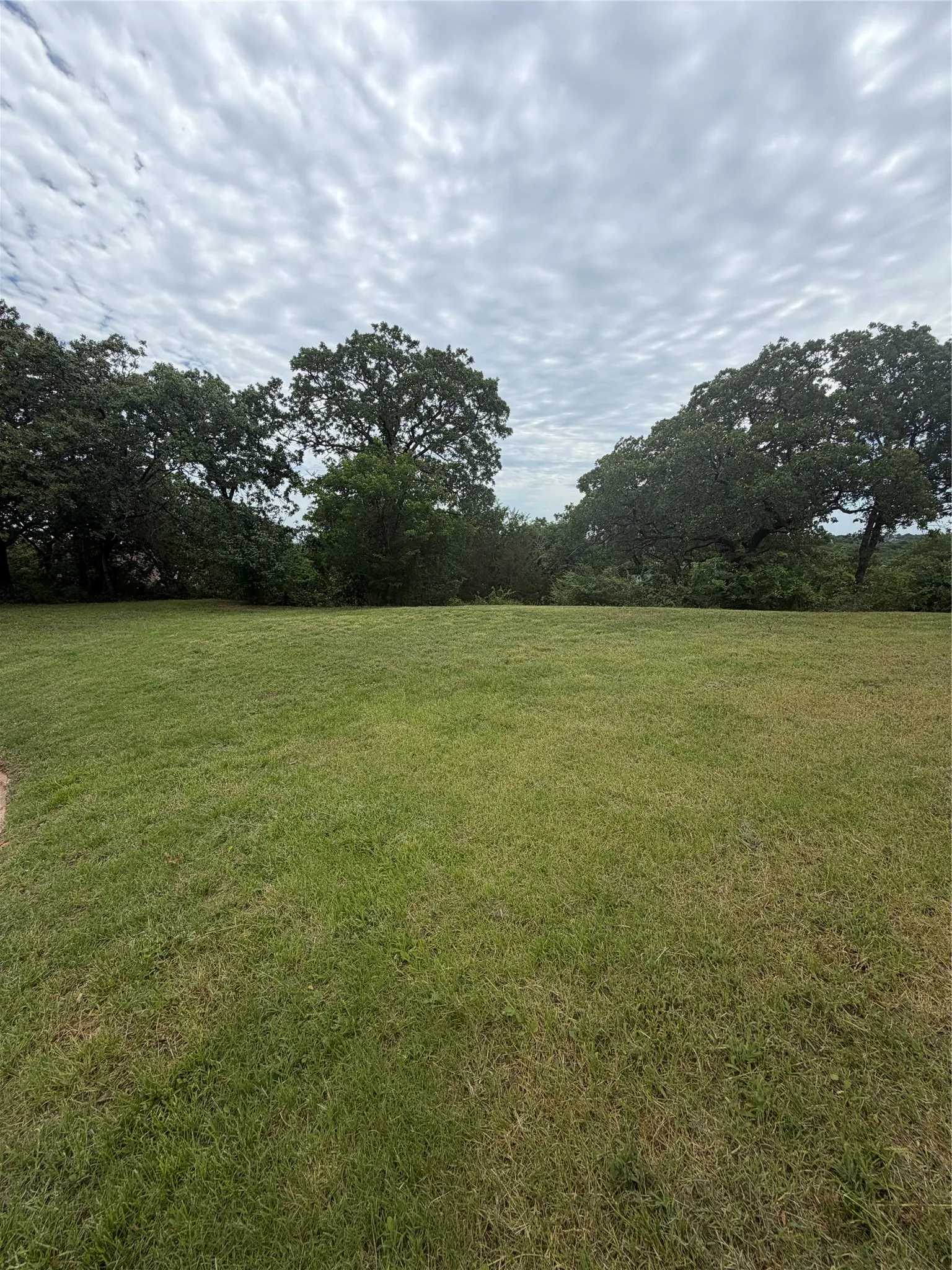 Expansive green lawn with mature trees bordering the perimeter