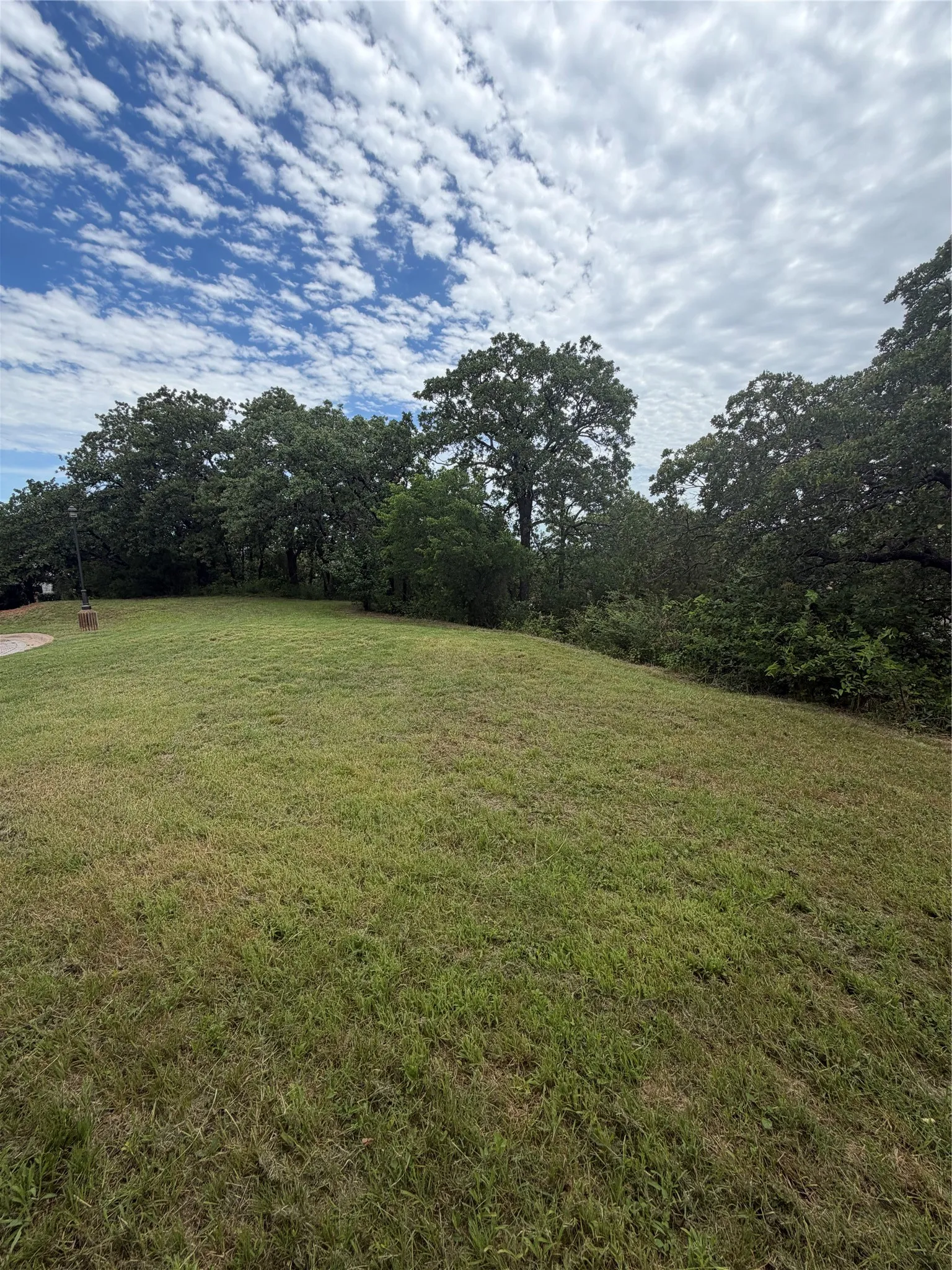 Expansive grassy area with mature trees 6704 Nob Hill Court
