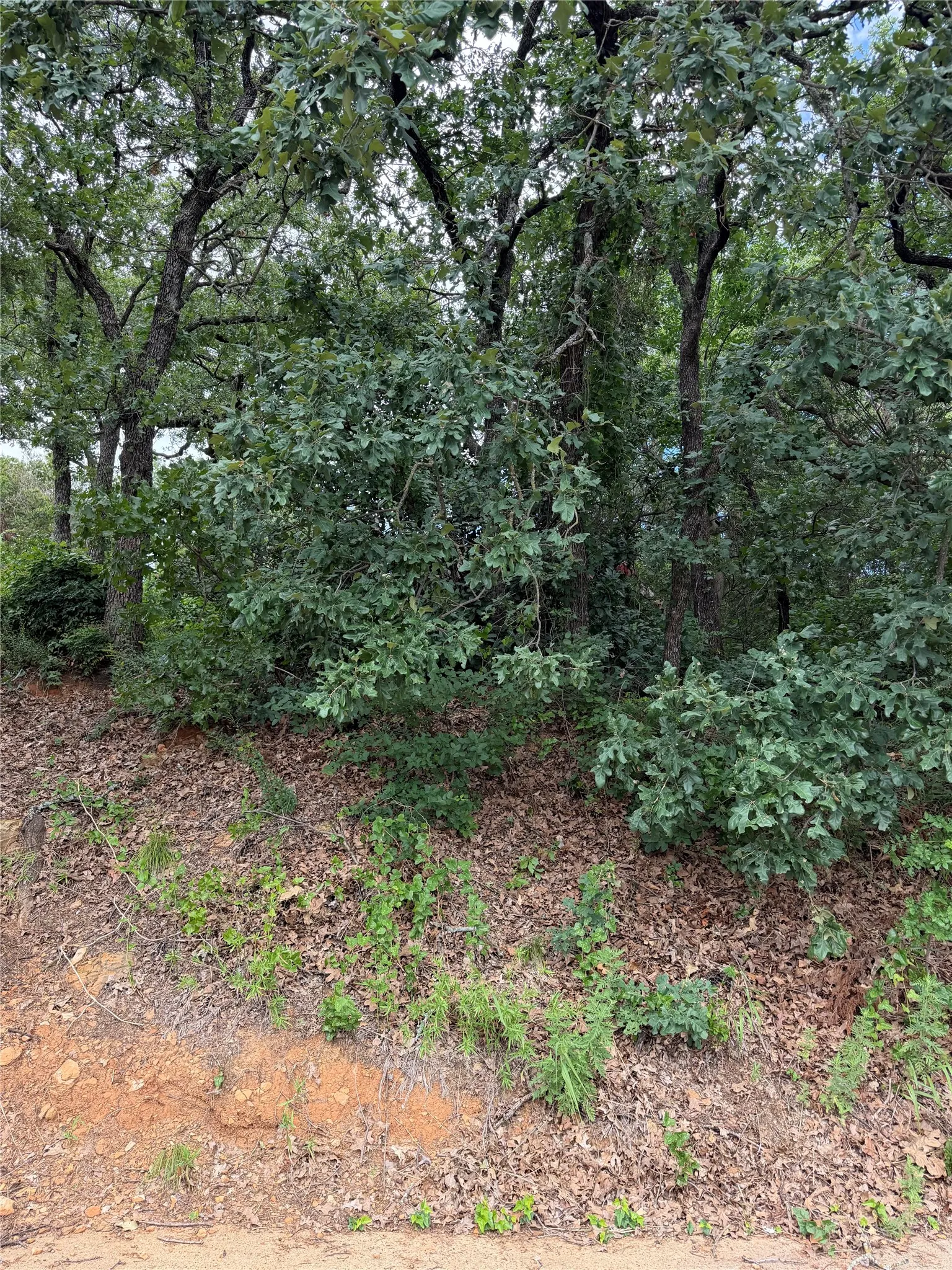 Rear of the lot