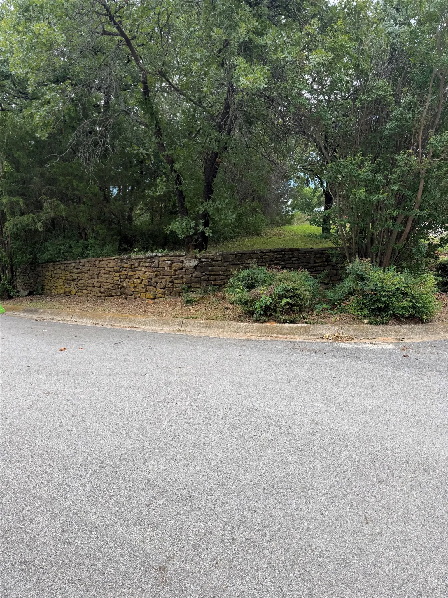 Stone retaining wall with mature trees and established shrubs