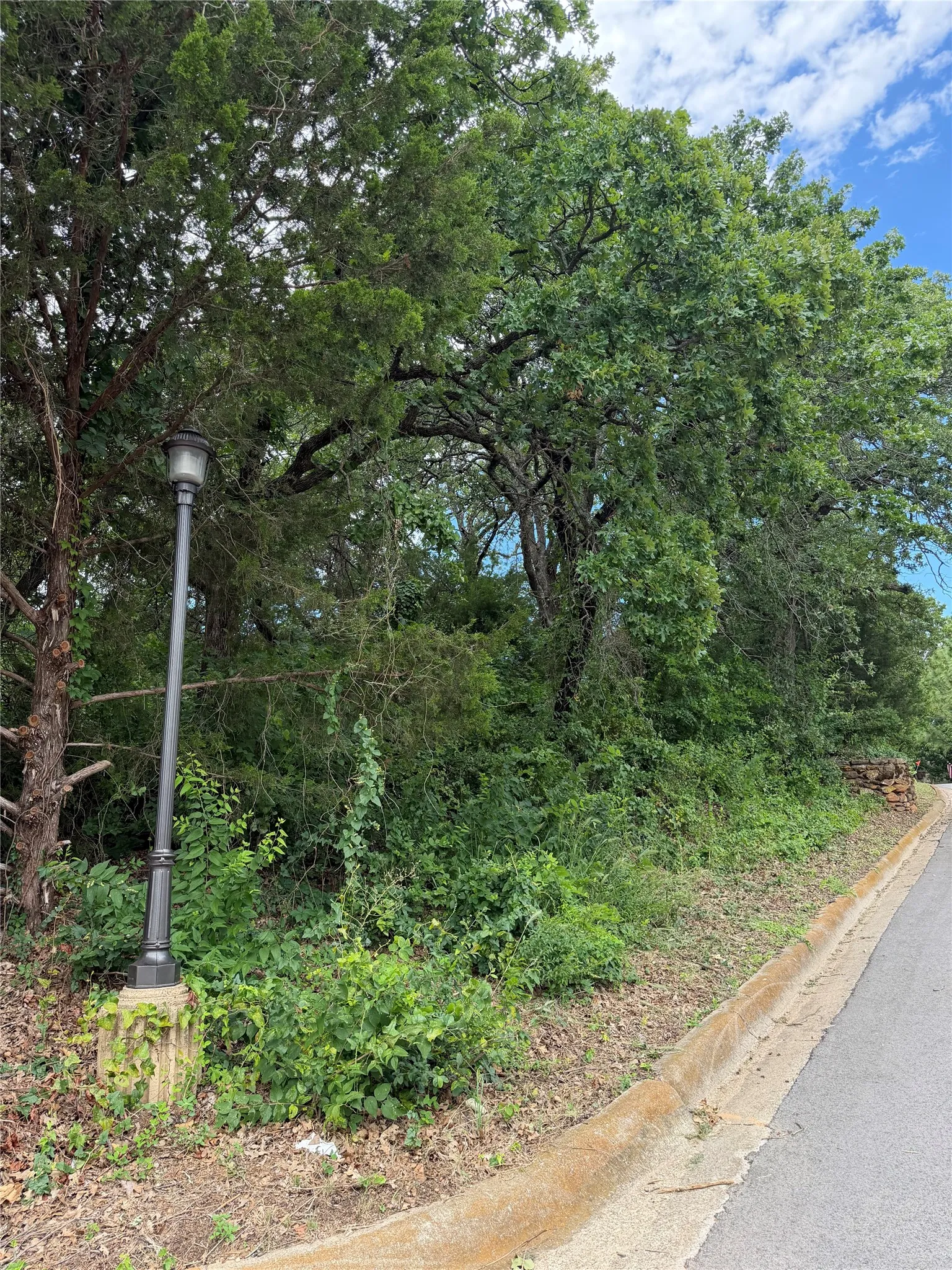 Side of lot 6708 Nob Hill Court
