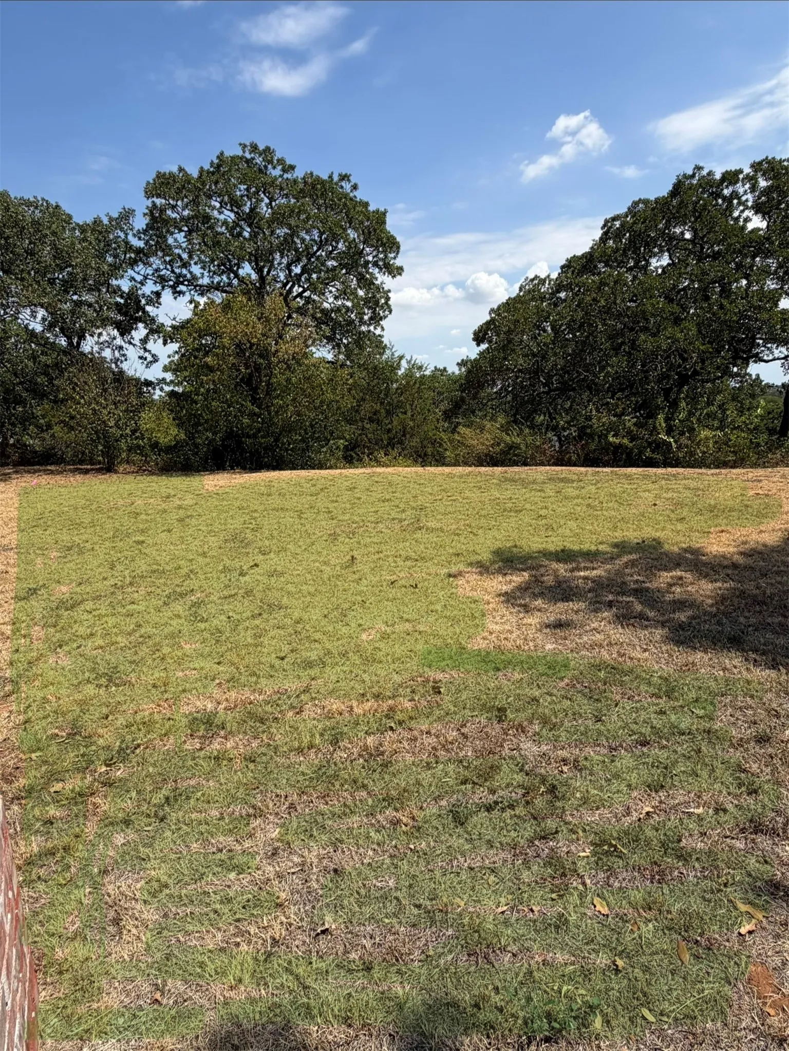 Expansive lawn with mature trees bordering the property