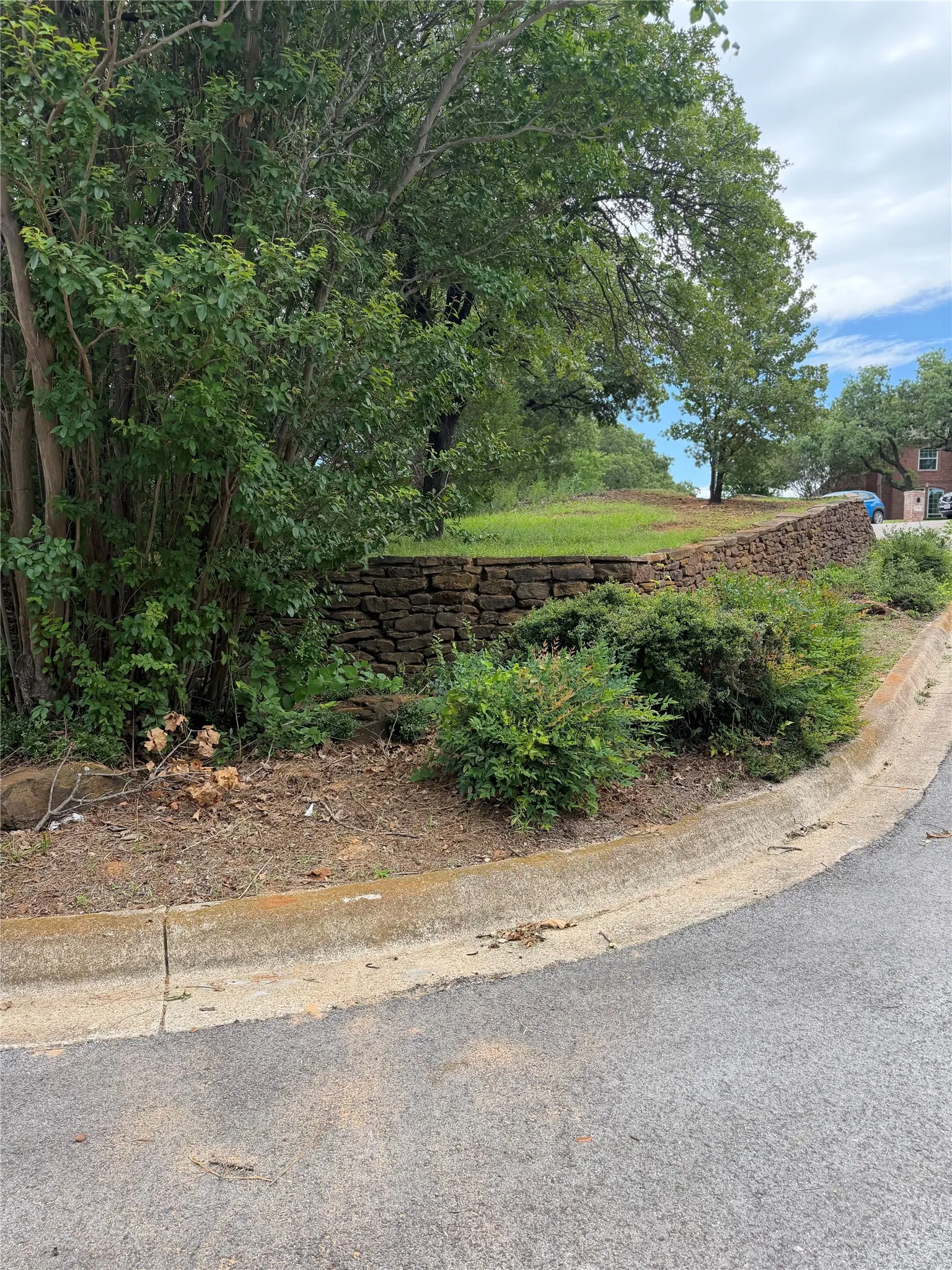 Curved asphalt paving, concrete curb, stone retaining wall, mature trees, and established shrubs