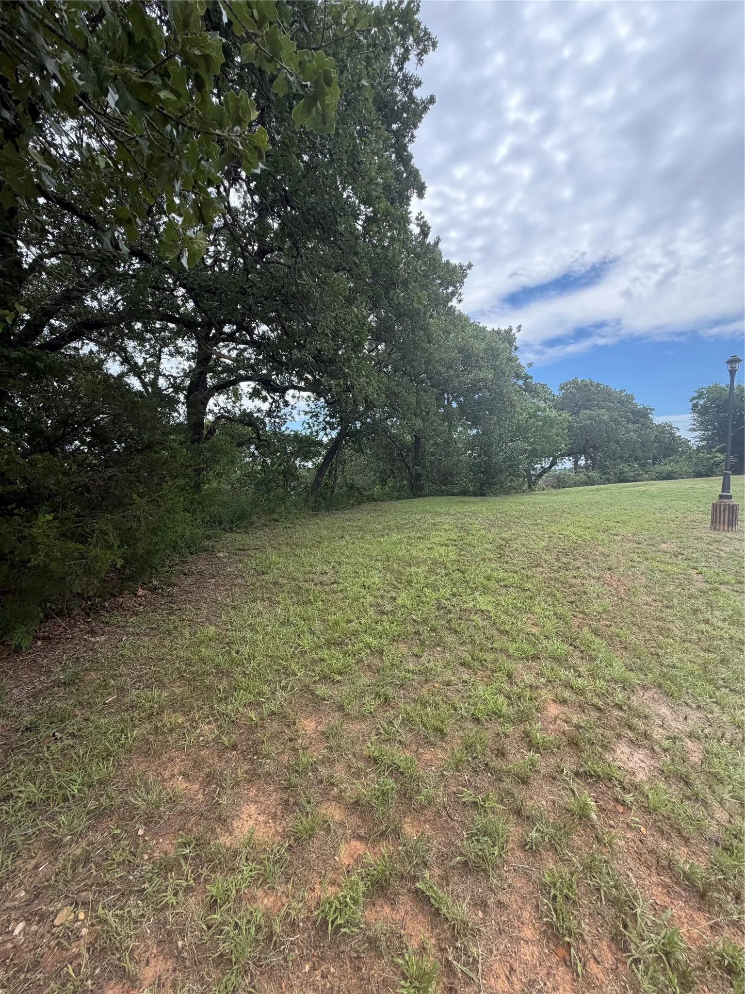 Expansive lot featuring mature trees and a sloped, grassed area