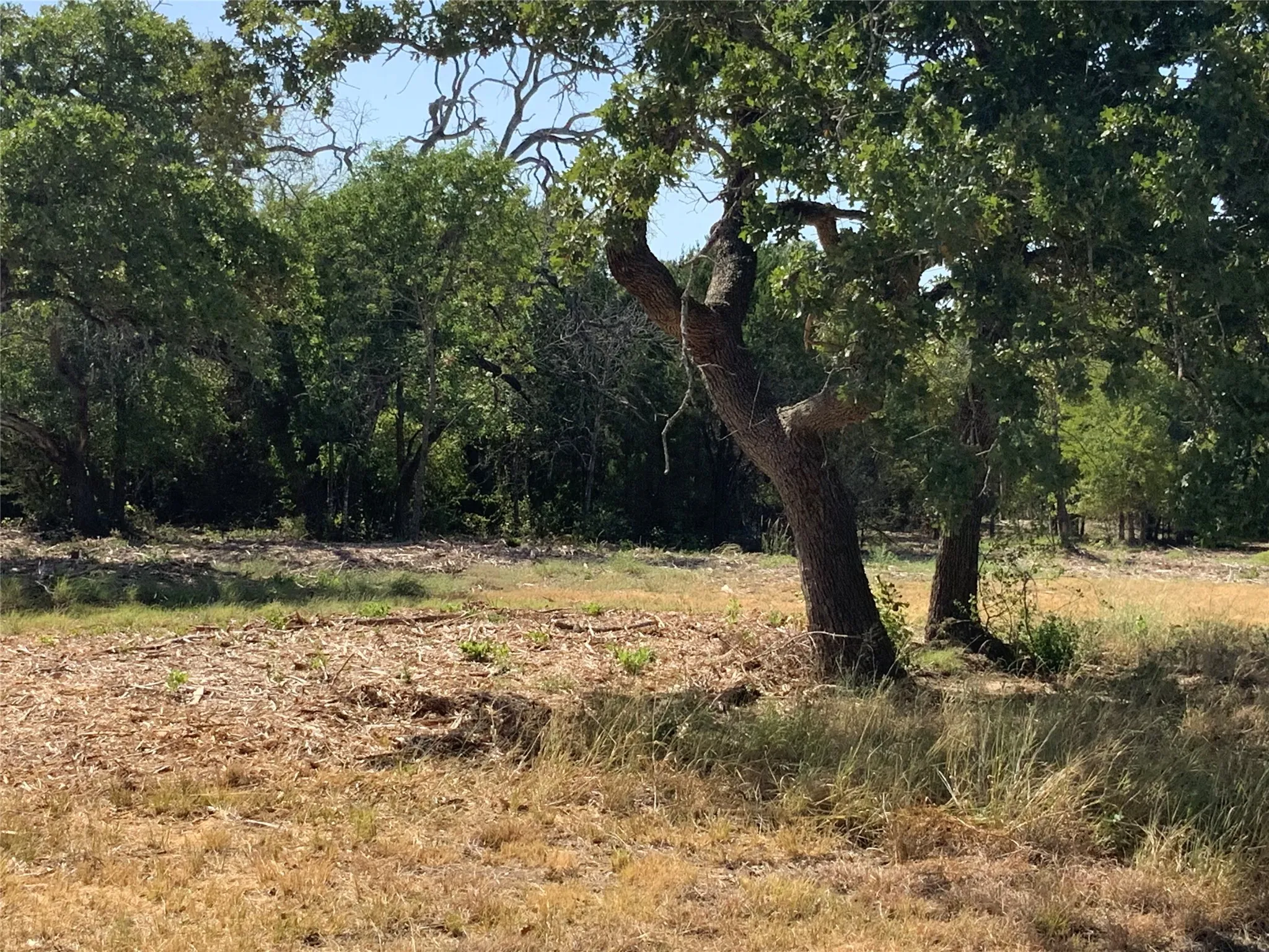 Unimproved Land For Sale in Hood County , 280 Wild Horse Road, Granbury, Texas 76048, 0, 0, Garage spaces, 0 Sqft, built in 0, mls#21374020, Real Estate Agent in Granbury, Homes For Sale in Hood county, Homes For Sale in Granbury, Realtor in Granbury Texas, Real Estate Brokerage Independent Realty Texas, Luminita Cordes Realtor