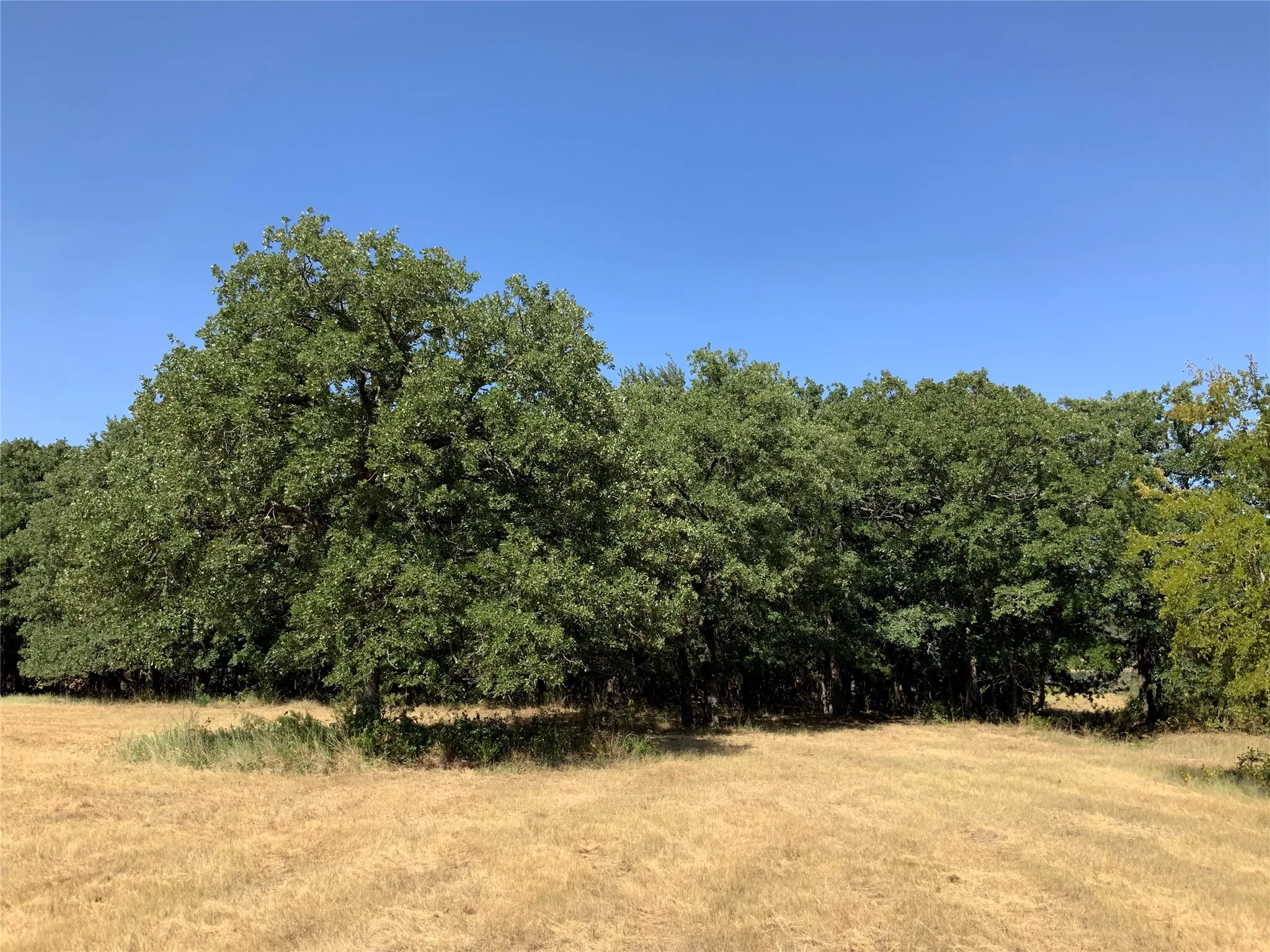 Unimproved Land For Sale in Hood County , 280 Wild Horse Road, Granbury, Texas 76048, 0, 0, Garage spaces, 0 Sqft, built in 0, mls#21374020, Real Estate Agent in Granbury, Homes For Sale in Hood county, Homes For Sale in Granbury, Realtor in Granbury Texas, Real Estate Brokerage Independent Realty Texas, Luminita Cordes Realtor