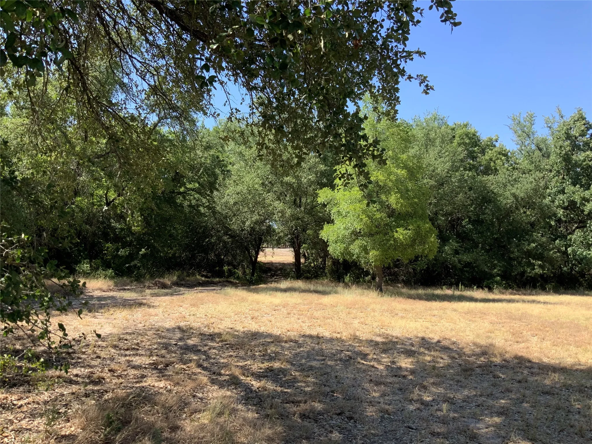 Unimproved Land For Sale in Hood County , 280 Wild Horse Road, Granbury, Texas 76048, 0, 0, Garage spaces, 0 Sqft, built in 0, mls#21374020, Real Estate Agent in Granbury, Homes For Sale in Hood county, Homes For Sale in Granbury, Realtor in Granbury Texas, Real Estate Brokerage Independent Realty Texas, Luminita Cordes Realtor