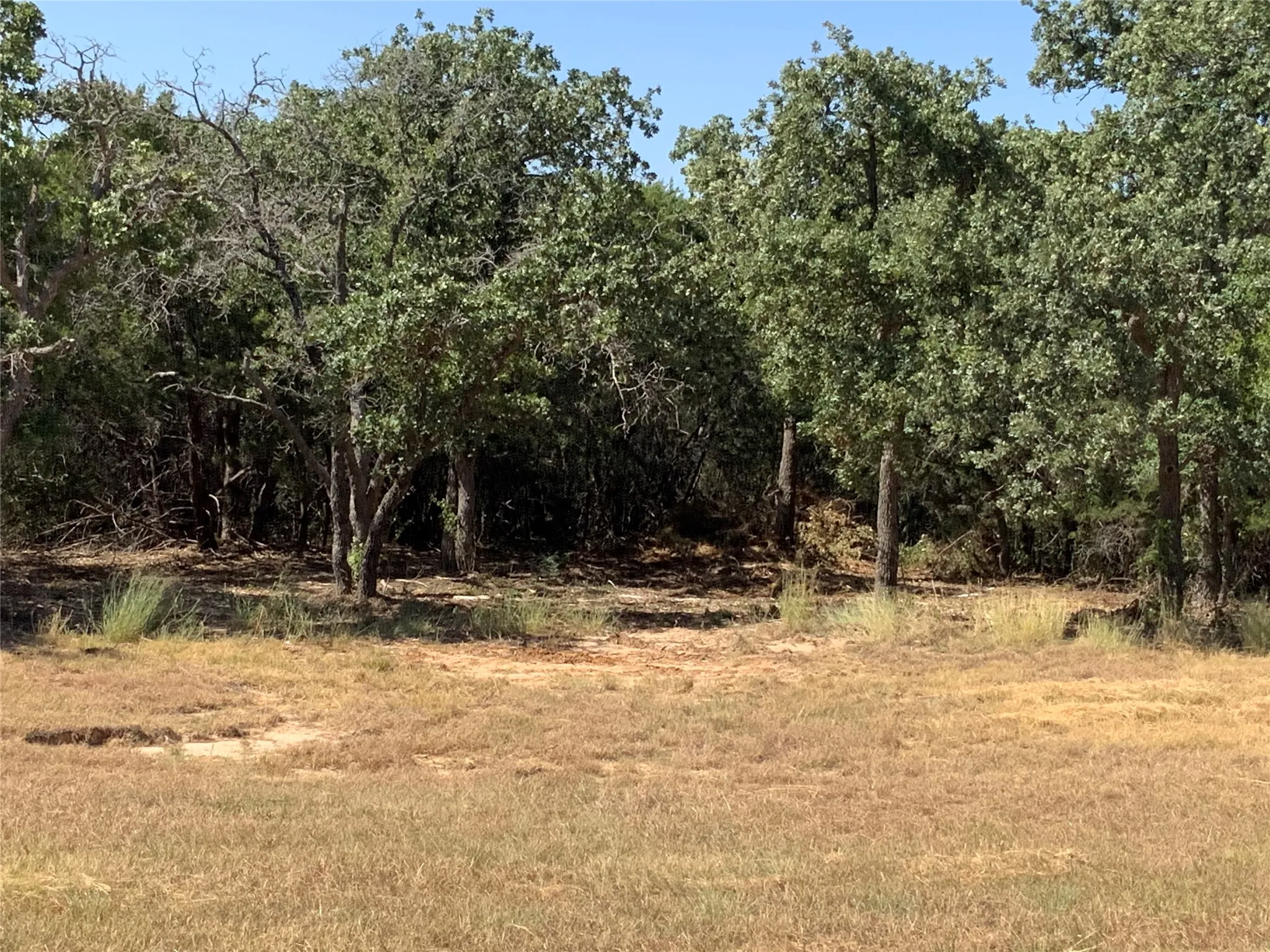 Unimproved Land For Sale in Hood County , 280 Wild Horse Road, Granbury, Texas 76048, 0, 0, Garage spaces, 0 Sqft, built in 0, mls#21374020, Real Estate Agent in Granbury, Homes For Sale in Hood county, Homes For Sale in Granbury, Realtor in Granbury Texas, Real Estate Brokerage Independent Realty Texas, Luminita Cordes Realtor