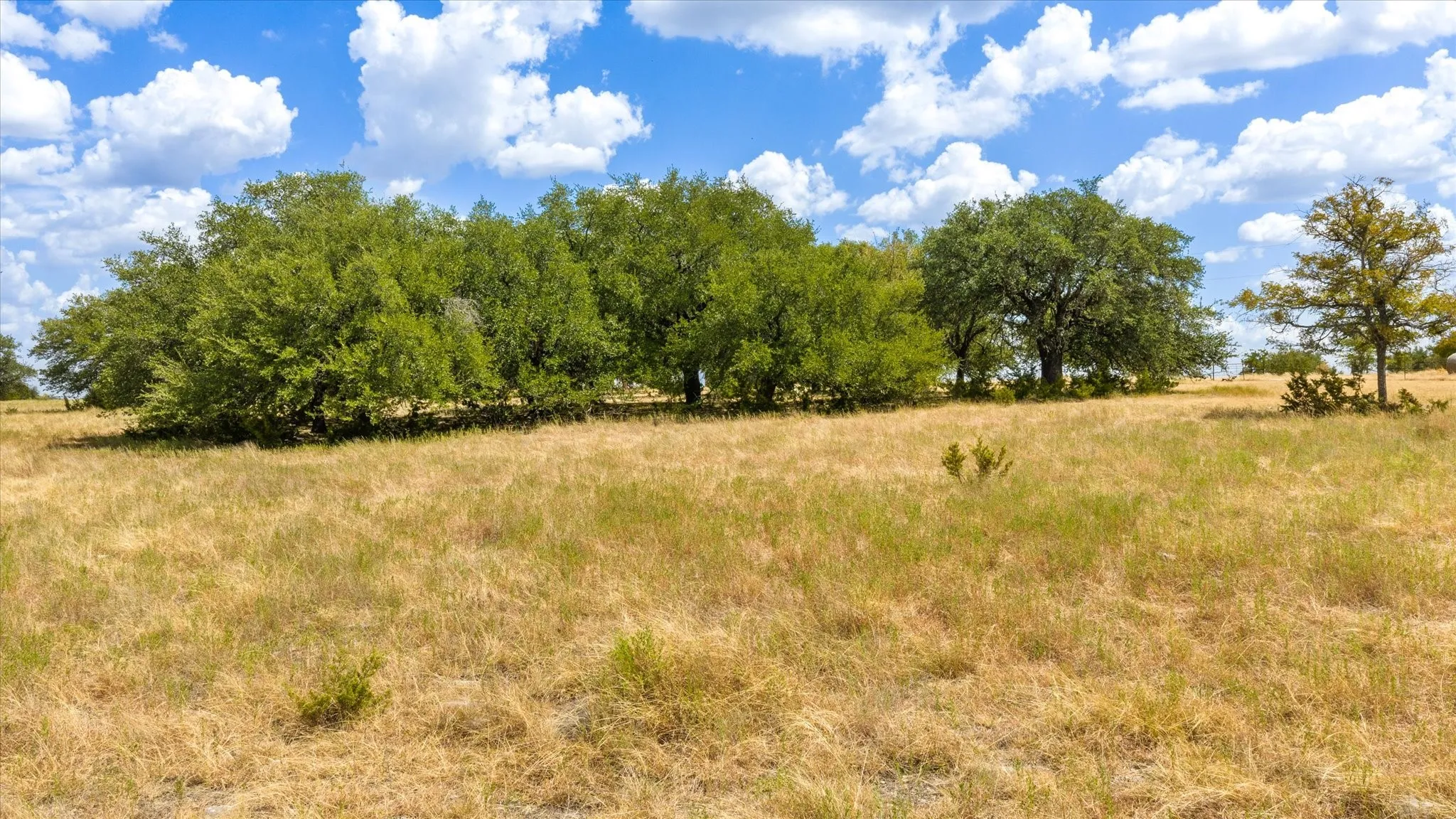 Unimproved Land For Sale in Somervell County , 4184 S Highway 144, Glen Rose, Texas 76043, 0, 0, Garage spaces, 0 Sqft, built in 0, mls#21383795, Real Estate Agent in Glen Rose, Homes For Sale in Somervell county, Homes For Sale in Glen Rose, Realtor in Glen Rose Texas, Real Estate Brokerage Independent Realty Texas, Luminita Cordes Realtor