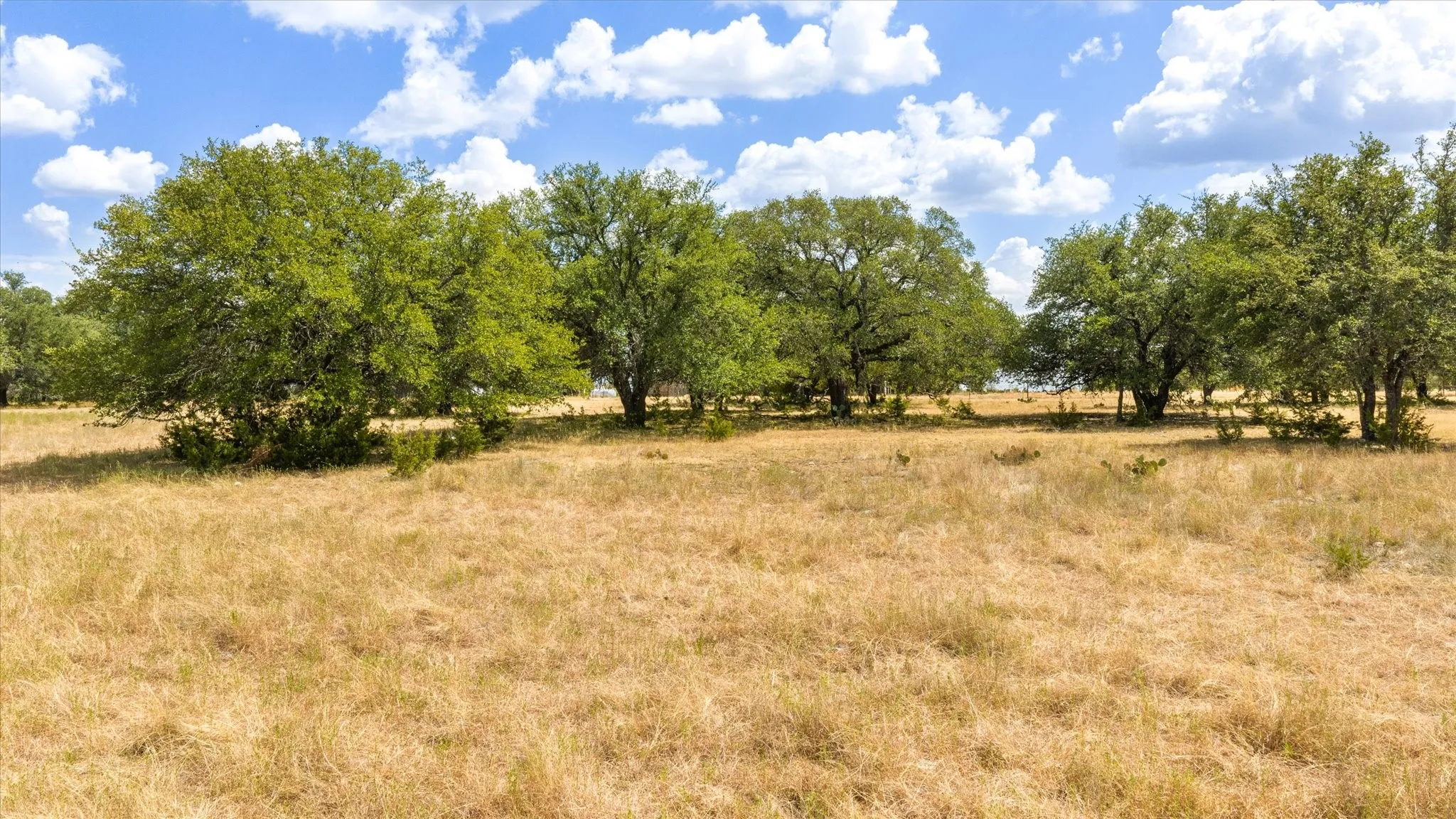 Unimproved Land For Sale in Somervell County , 4184 S Highway 144, Glen Rose, Texas 76043, 0, 0, Garage spaces, 0 Sqft, built in 0, mls#21383795, Real Estate Agent in Glen Rose, Homes For Sale in Somervell county, Homes For Sale in Glen Rose, Realtor in Glen Rose Texas, Real Estate Brokerage Independent Realty Texas, Luminita Cordes Realtor