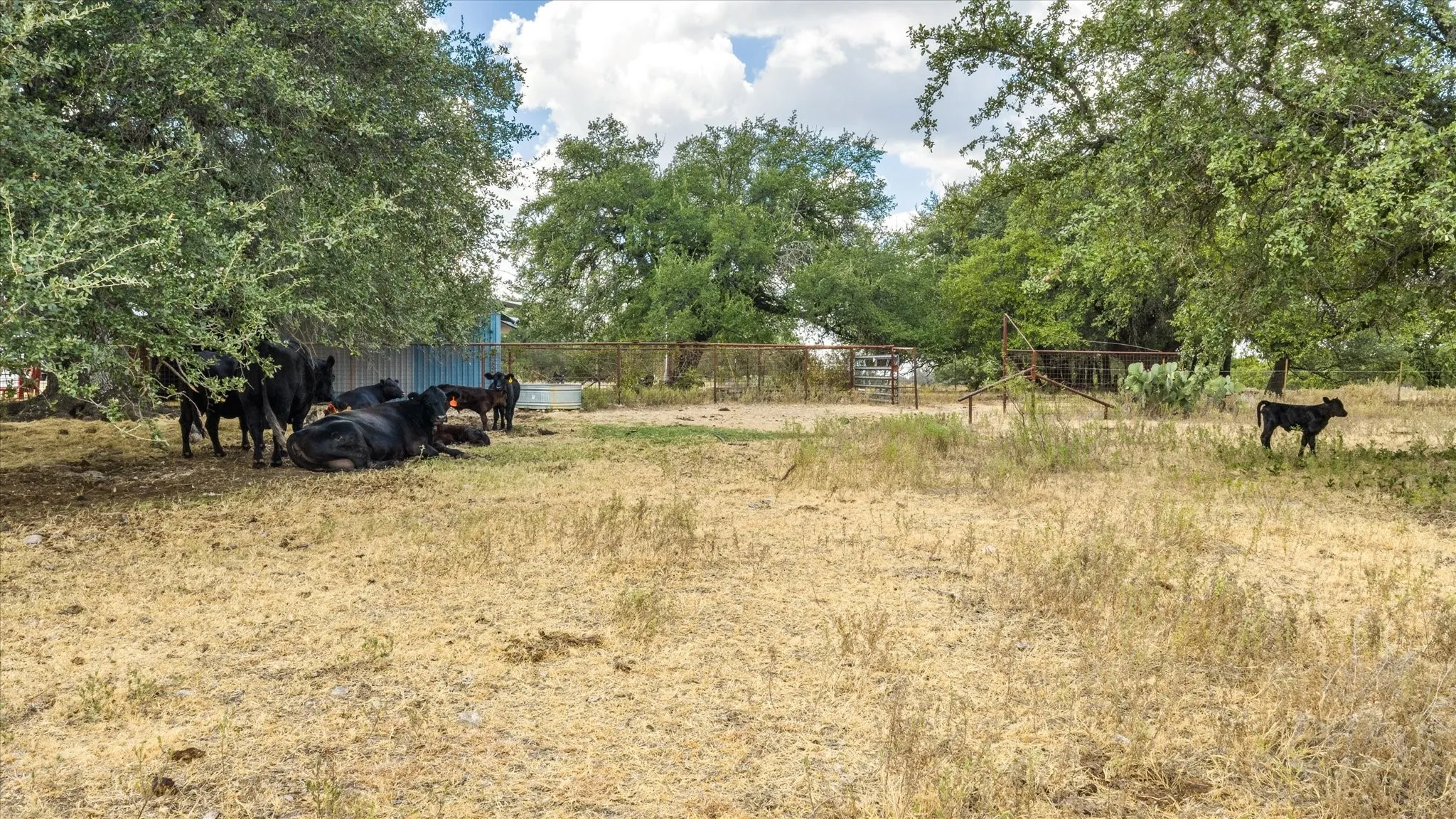Unimproved Land For Sale in Somervell County , 4184 S Highway 144, Glen Rose, Texas 76043, 0, 0, Garage spaces, 0 Sqft, built in 0, mls#21383795, Real Estate Agent in Glen Rose, Homes For Sale in Somervell county, Homes For Sale in Glen Rose, Realtor in Glen Rose Texas, Real Estate Brokerage Independent Realty Texas, Luminita Cordes Realtor