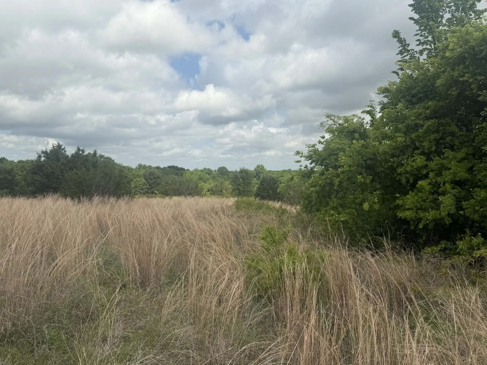 Manufactured Home For Sale in Parker County , 1085 Highland Circle, Springtown, Texas 76082, 4 Bedroom, 2 Bathroom, Garage spaces, 2,280 Sqft, built in 2008, mls#21384061, Real Estate Agent in Springtown, Homes For Sale in Parker county, Homes For Sale in Springtown, Realtor in Springtown Texas, Real Estate Brokerage Independent Realty Texas, Luminita Cordes Realtor