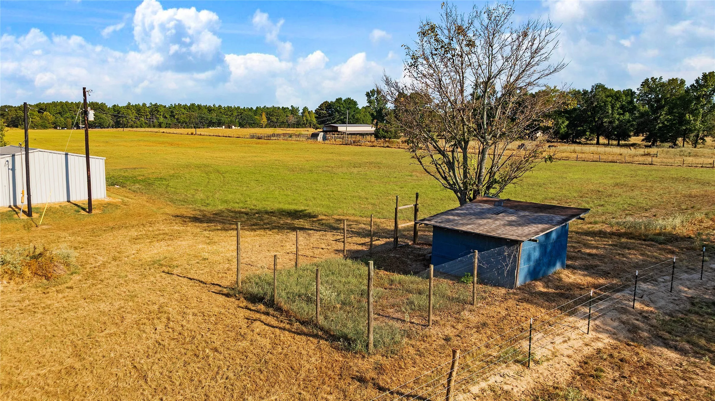 Farm For Sale in Lamar County , 6517 County Road 45600, Blossom, Texas 75416, 3 Bedroom, 2 Bathroom, Garage spaces, 1,143 Sqft, built in 1984, mls#21381147, Real Estate Agent in Blossom, Homes For Sale in Lamar county, Homes For Sale in Blossom, Realtor in Blossom Texas, Real Estate Brokerage Independent Realty Texas, Luminita Cordes Realtor