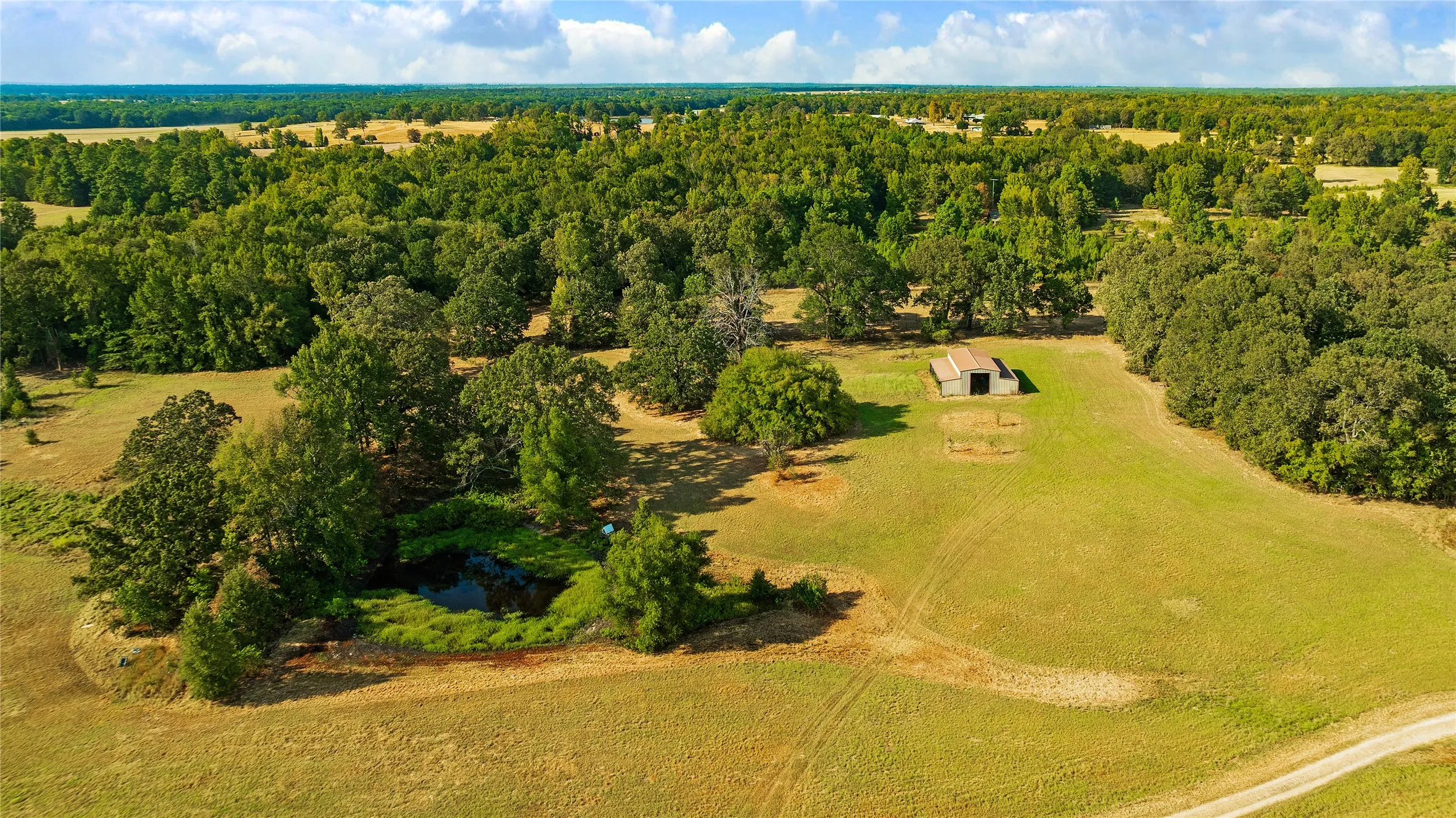 Farm For Sale in Lamar County , 6517 County Road 45600, Blossom, Texas 75416, 3 Bedroom, 2 Bathroom, Garage spaces, 1,143 Sqft, built in 1984, mls#21381147, Real Estate Agent in Blossom, Homes For Sale in Lamar county, Homes For Sale in Blossom, Realtor in Blossom Texas, Real Estate Brokerage Independent Realty Texas, Luminita Cordes Realtor