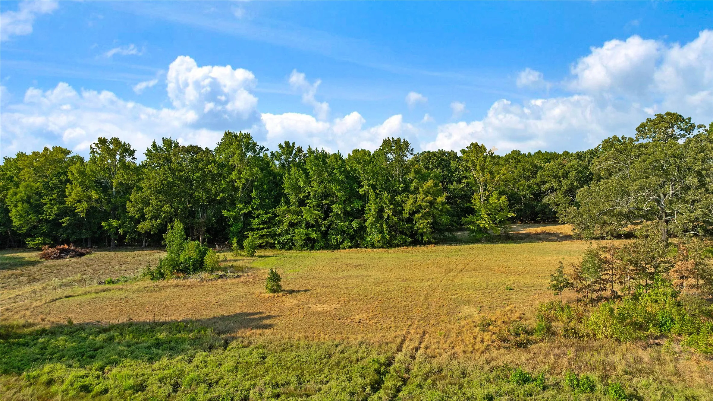 Farm For Sale in Lamar County , 6517 County Road 45600, Blossom, Texas 75416, 3 Bedroom, 2 Bathroom, Garage spaces, 1,143 Sqft, built in 1984, mls#21381147, Real Estate Agent in Blossom, Homes For Sale in Lamar county, Homes For Sale in Blossom, Realtor in Blossom Texas, Real Estate Brokerage Independent Realty Texas, Luminita Cordes Realtor