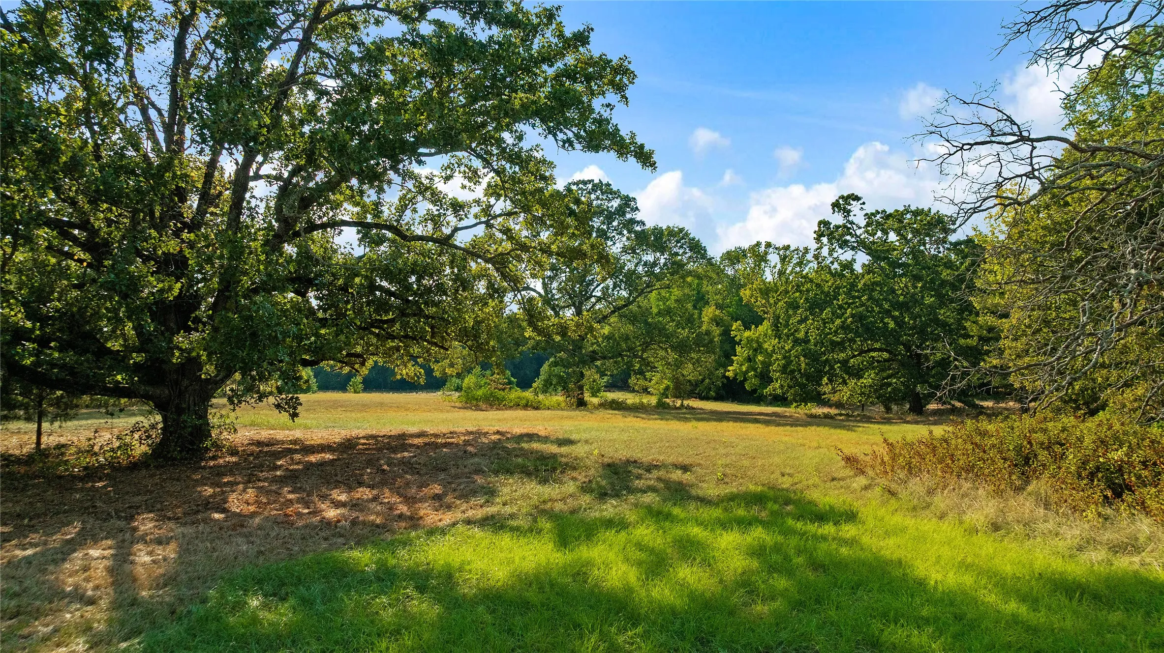 Farm For Sale in Lamar County , 6517 County Road 45600, Blossom, Texas 75416, 3 Bedroom, 2 Bathroom, Garage spaces, 1,143 Sqft, built in 1984, mls#21381147, Real Estate Agent in Blossom, Homes For Sale in Lamar county, Homes For Sale in Blossom, Realtor in Blossom Texas, Real Estate Brokerage Independent Realty Texas, Luminita Cordes Realtor