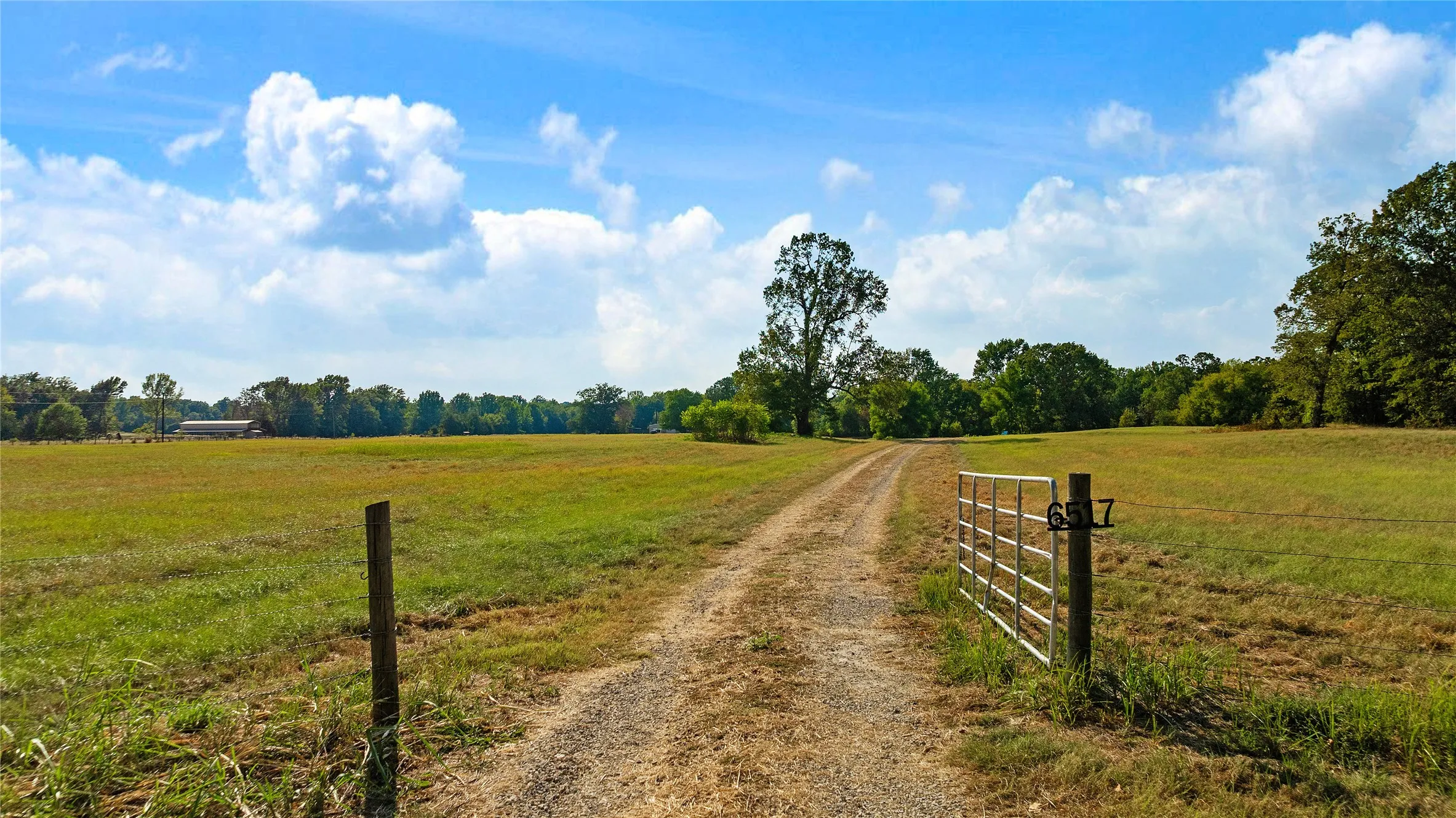 Farm For Sale in Lamar County , 6517 County Road 45600, Blossom, Texas 75416, 3 Bedroom, 2 Bathroom, Garage spaces, 1,143 Sqft, built in 1984, mls#21381147, Real Estate Agent in Blossom, Homes For Sale in Lamar county, Homes For Sale in Blossom, Realtor in Blossom Texas, Real Estate Brokerage Independent Realty Texas, Luminita Cordes Realtor